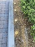 Review Image by New York, New York