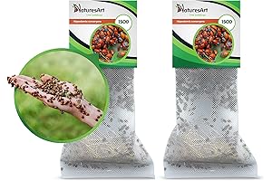 Live Ladybugs: The Secret to a Thriving Garden