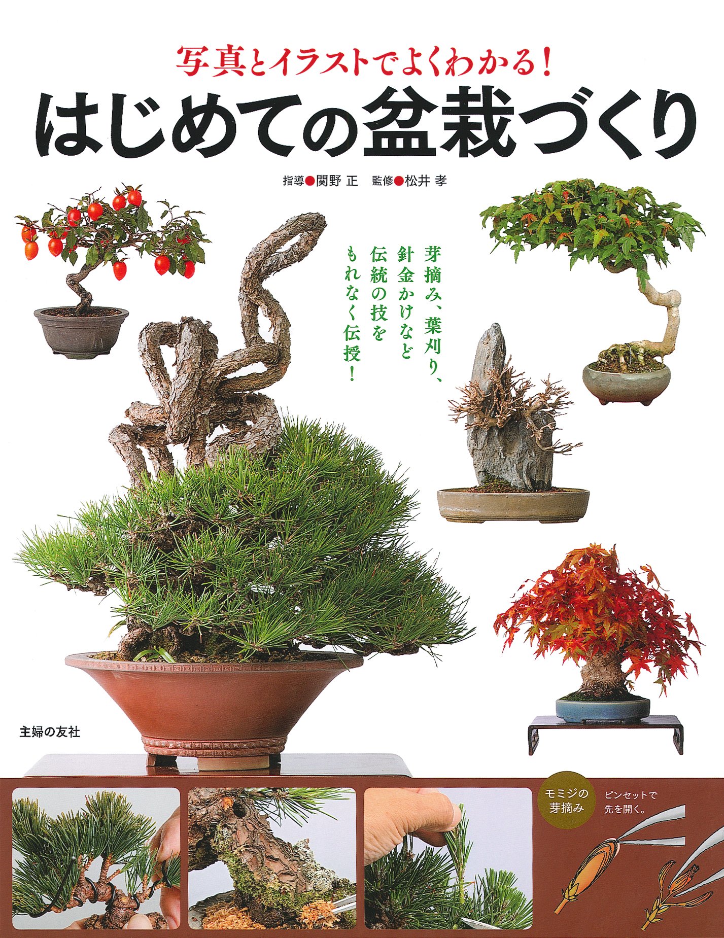 はじめての盆栽づくり 松井 孝 配送料無料