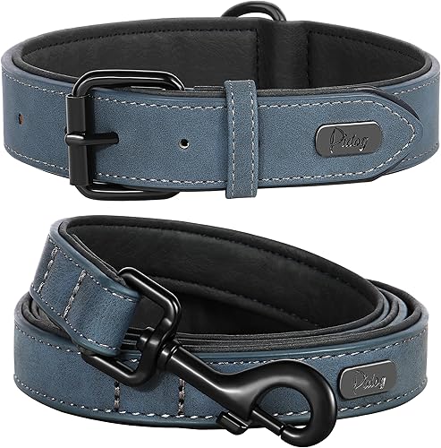 Didog Juego de collar y correa de cuero acolchado suave para perro, correa y collar resistente con hebilla de metal, collares transpirables para