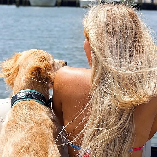 Miniatura 2 de Black Rhino, la comodidad cuello Ultra Suave Collar de perro acolchado de neopreno para todas las razas, heavy Duty ajustable reflectante resistente