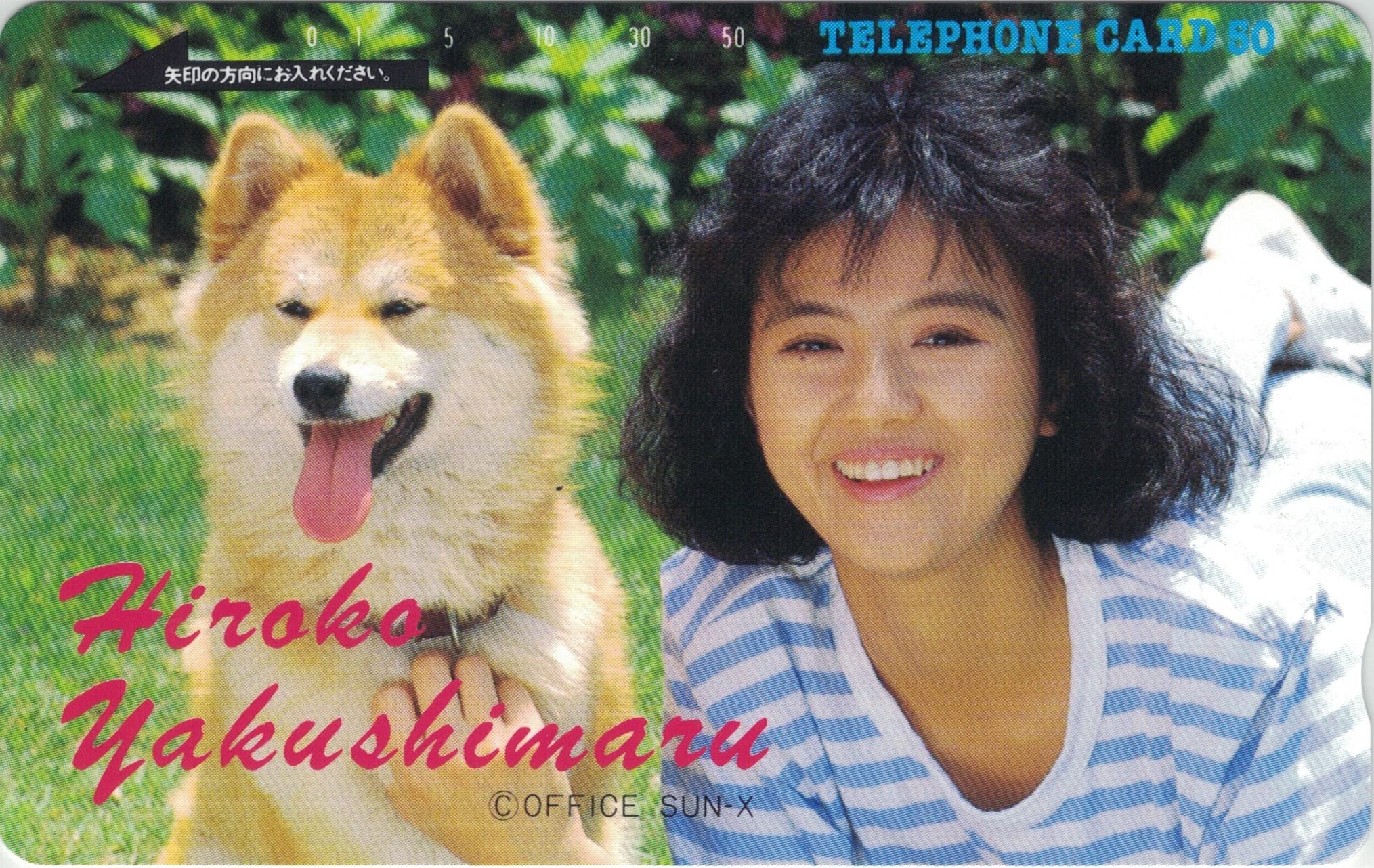 Amazon.co.jp: テレホンカード テレカ 薬師丸ひろ子 ② 50度数 : 家電