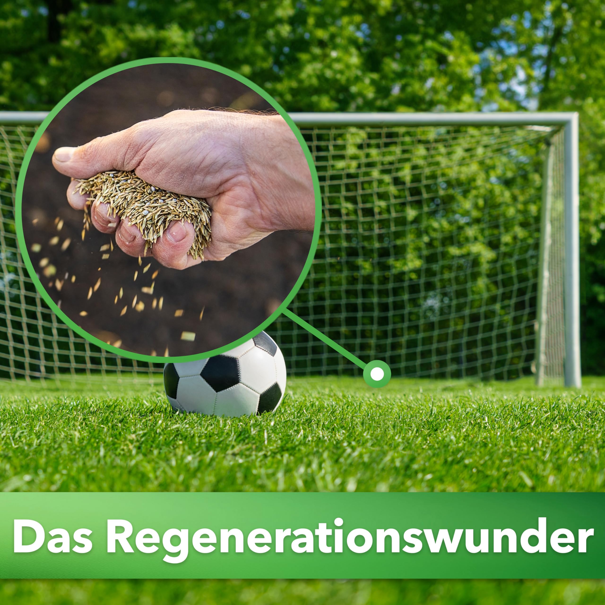 Hesa Sportrasen Strapazierrasen Rasensamen, 5 kg für ca. 200 m², schnellkeimende Rasensaat in RSM-Qualität für Neuansaat & Nachsaat, robuste dichte Grasnarbe für Spiel, Garten & Sport, Made in Austria