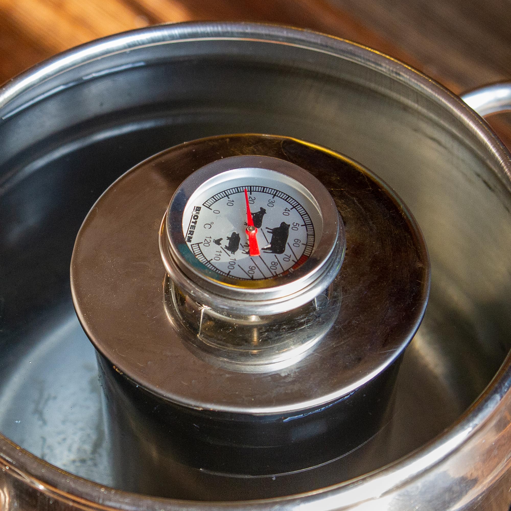 Browin Thermomètre de Cuisson en Acier Inoxydable 0-120°C