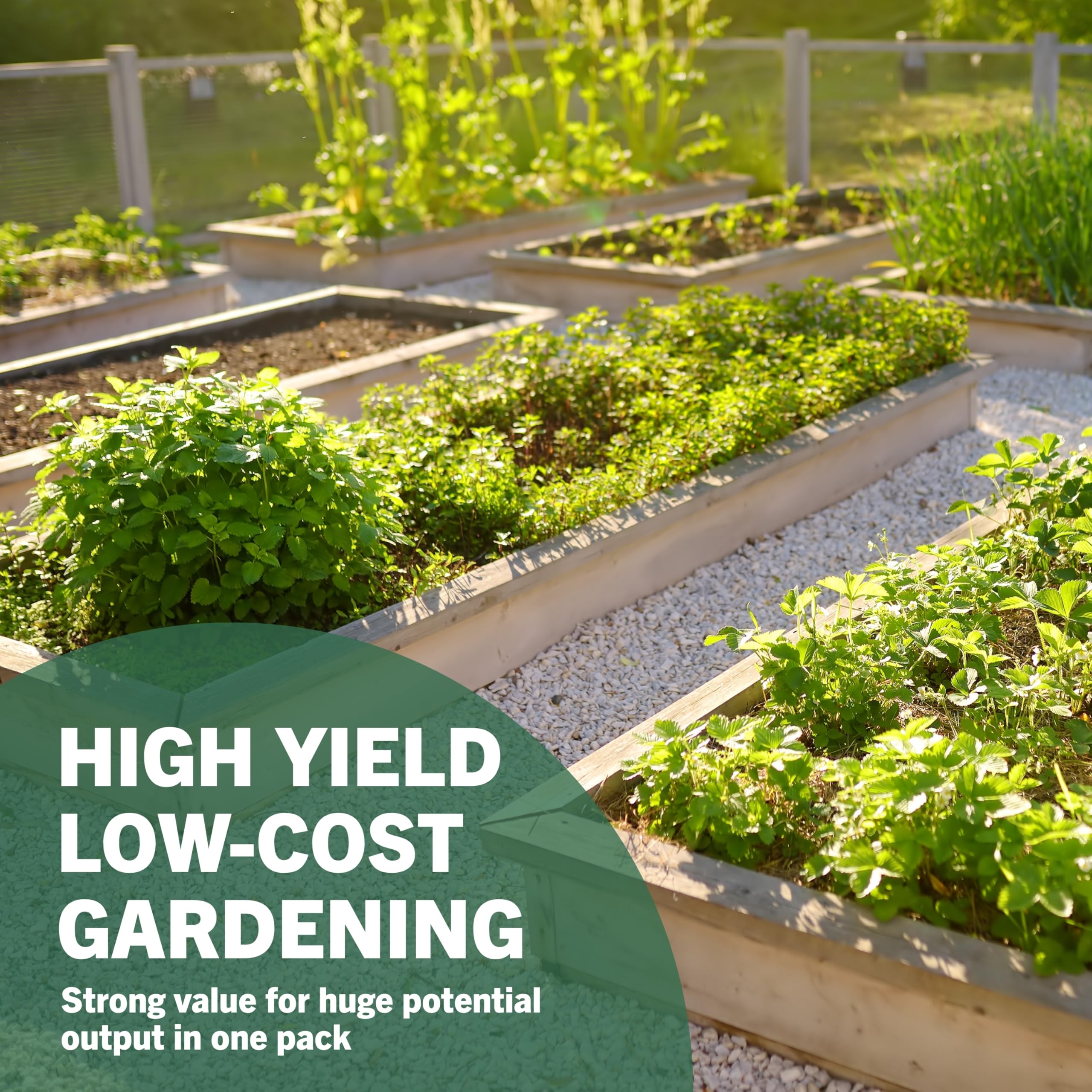 32 Vegetable Seeds - Grow Your Own! -4 32 Vegetable Seeds - Grow Your Own! -4
