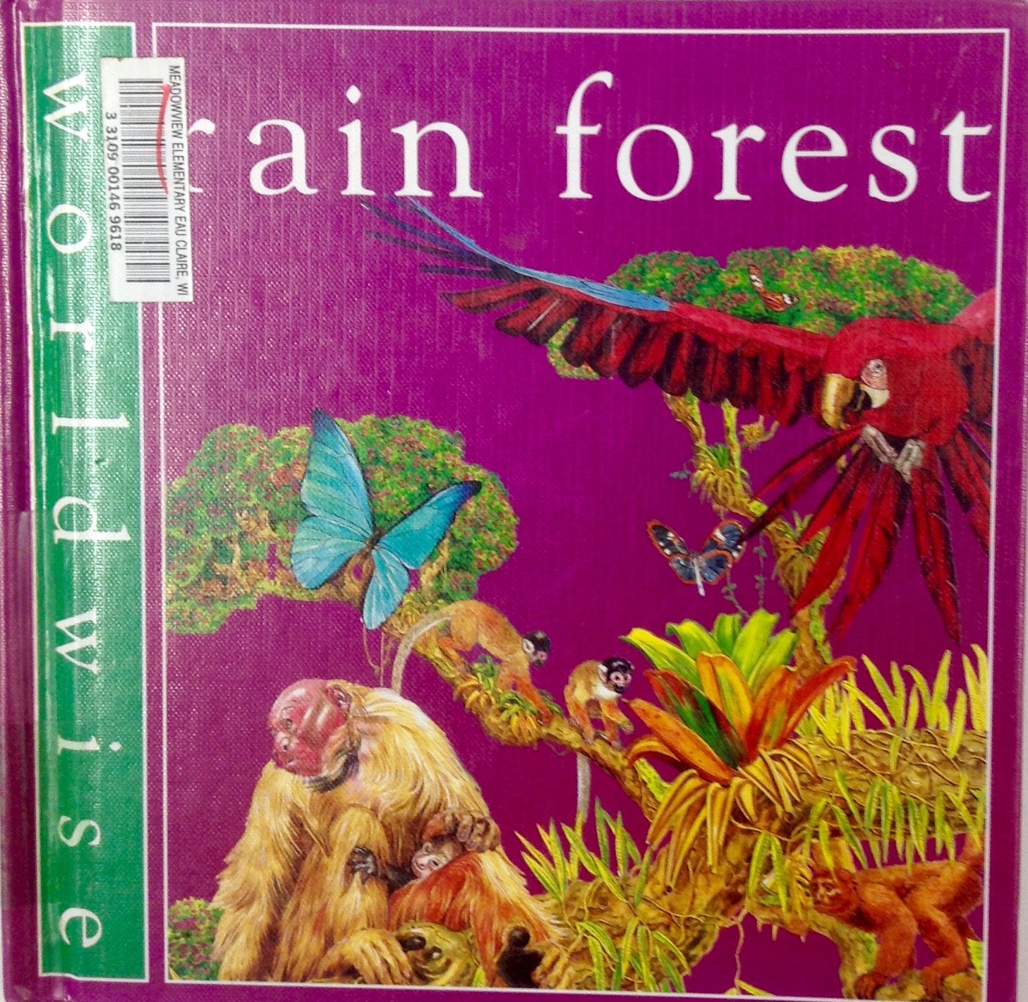 Rain Forest (Worldwise)