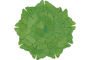 SARO LIFESTYLE Biloba Design Ginkgo Green Leaf Placemats for Dining Table