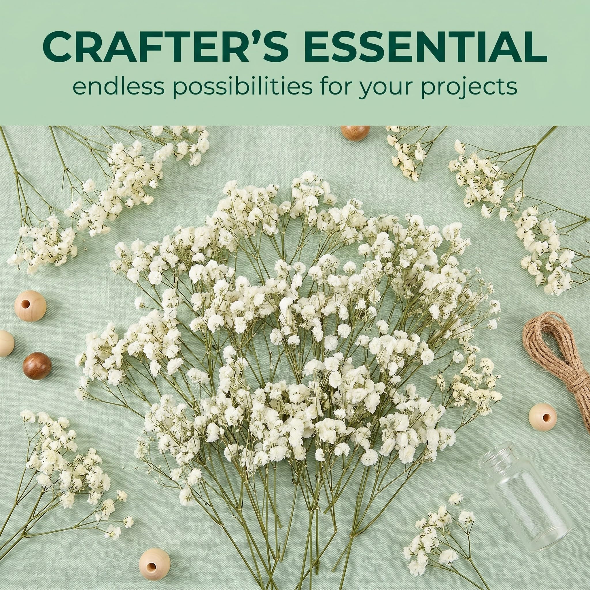 Gypsophila Essiccata Bianchi, Fiori Secchi 50 szt. do Dekoracji DIY