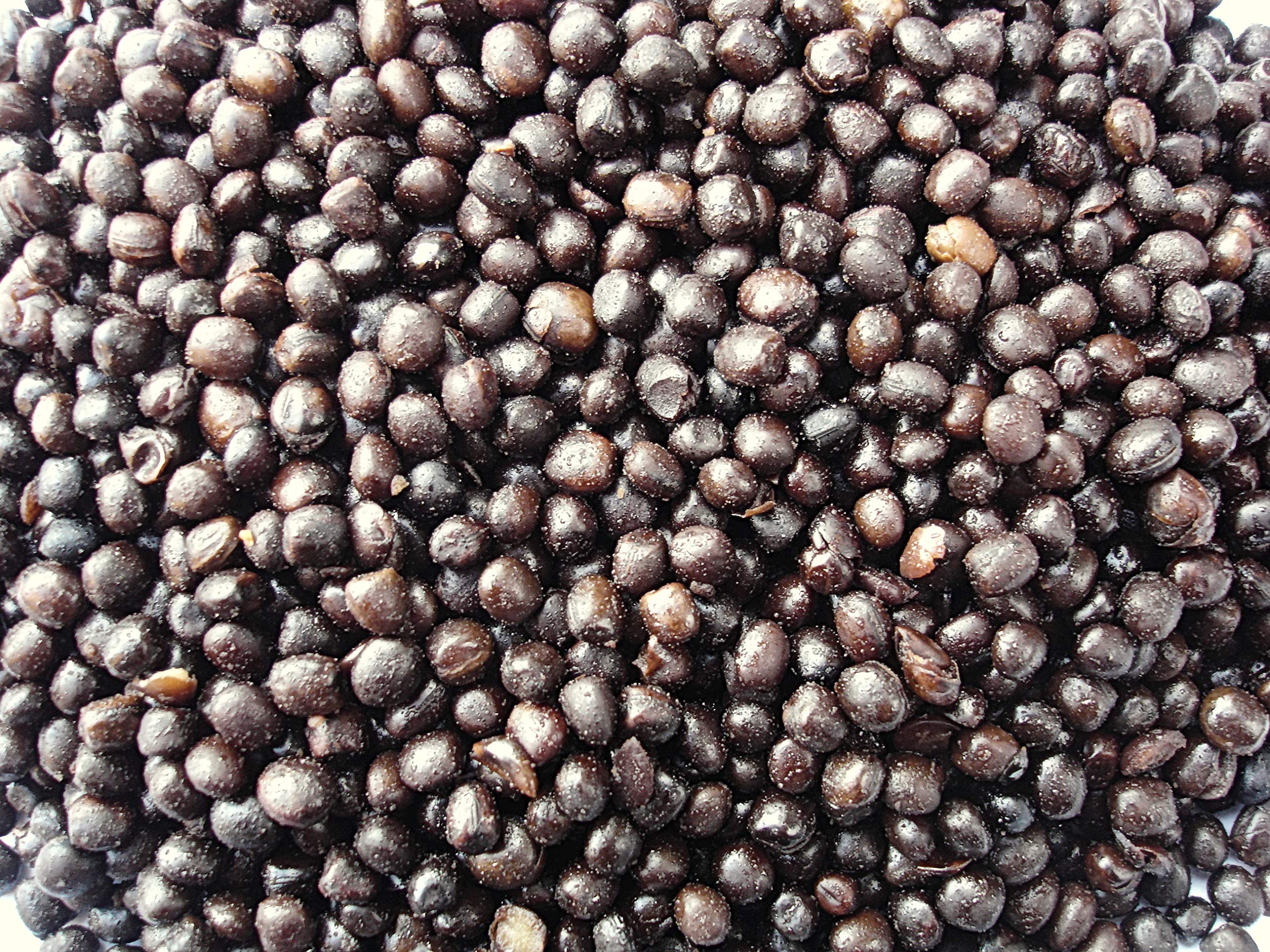 Conx2 Black Tares - Pre Prepared -Ready to Use - Session Sized 200g Pack