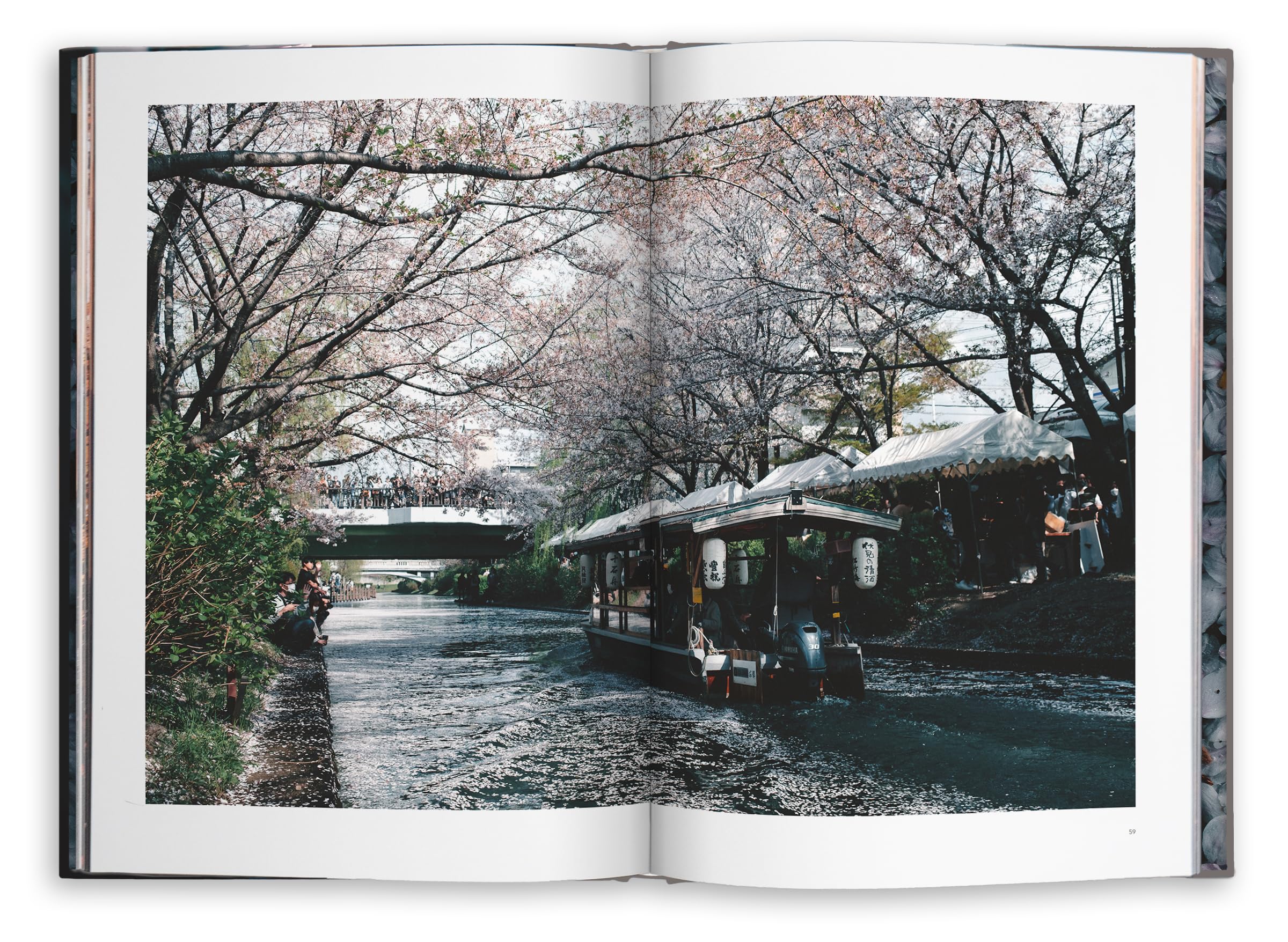 Kyoto Dreaming