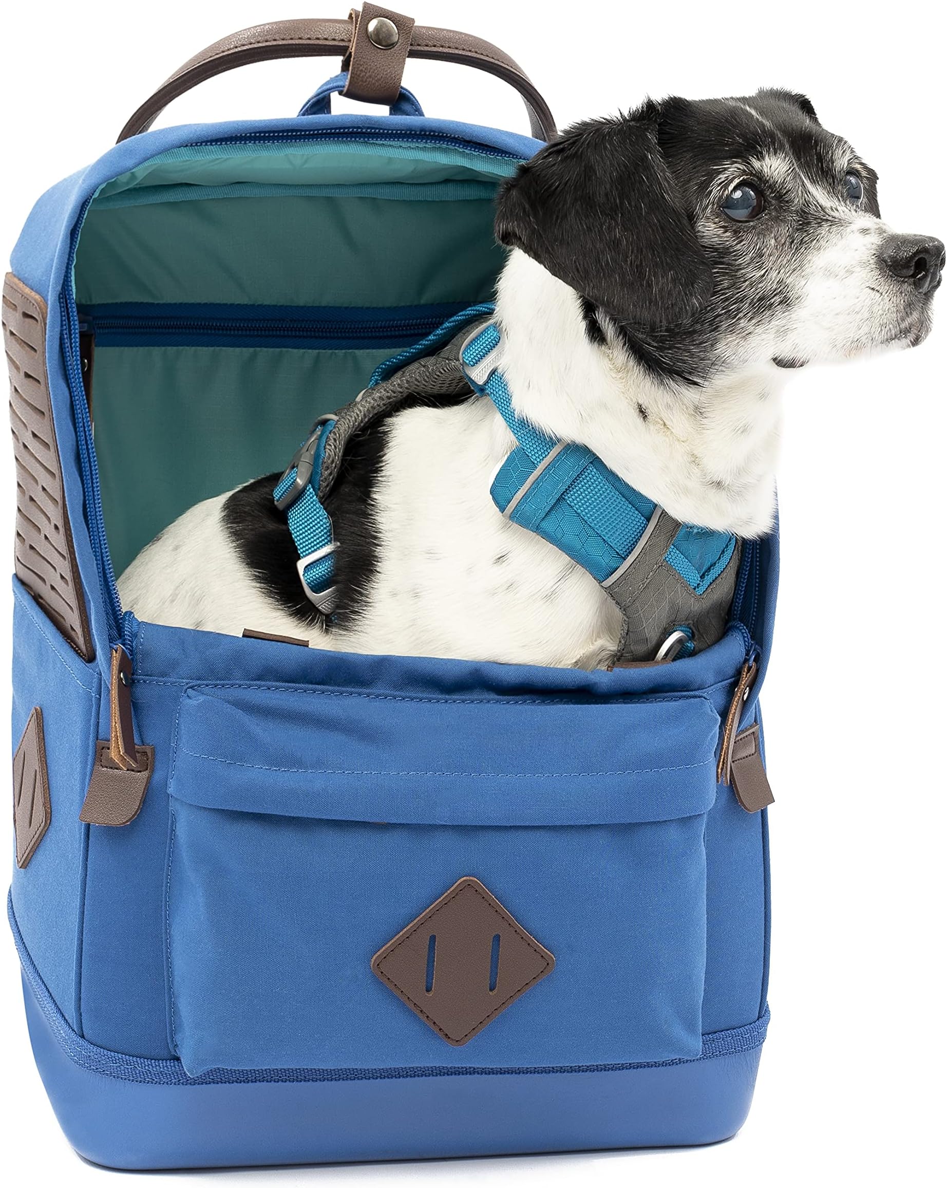 Nomad Dog Carrier Backpack, Backpack for Small Dogs and Cats, Ideal for Hiking or Travel, Waterproof Bottom, Dual Carry Handles, Blue