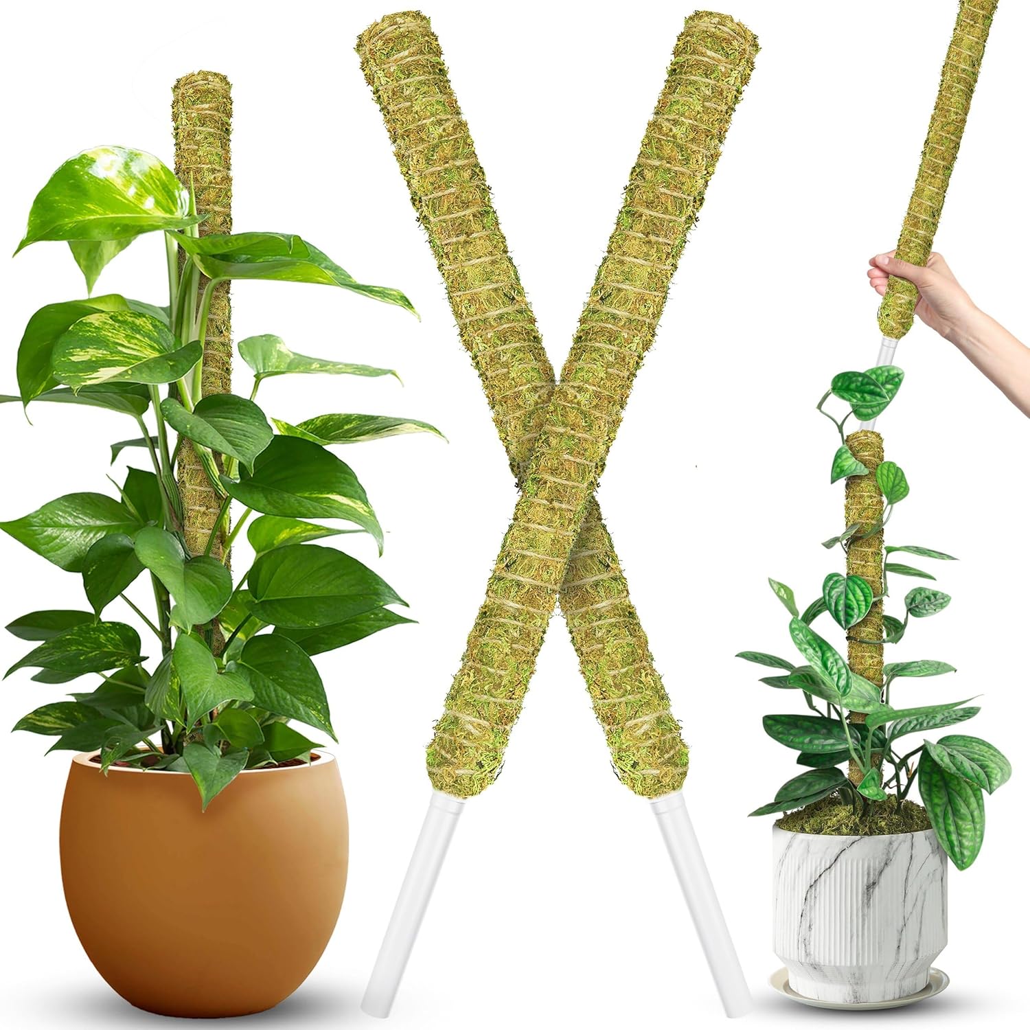DUSPRO Natural Stackable Moss Pole for Plants Monstera, Forest Moss Sticks, Monstera Plant Support, Handmade Plant Stakes for Indoor Plants for Potted Plant to Grow Upward 02 pcs 22'' 2 Pack Natural