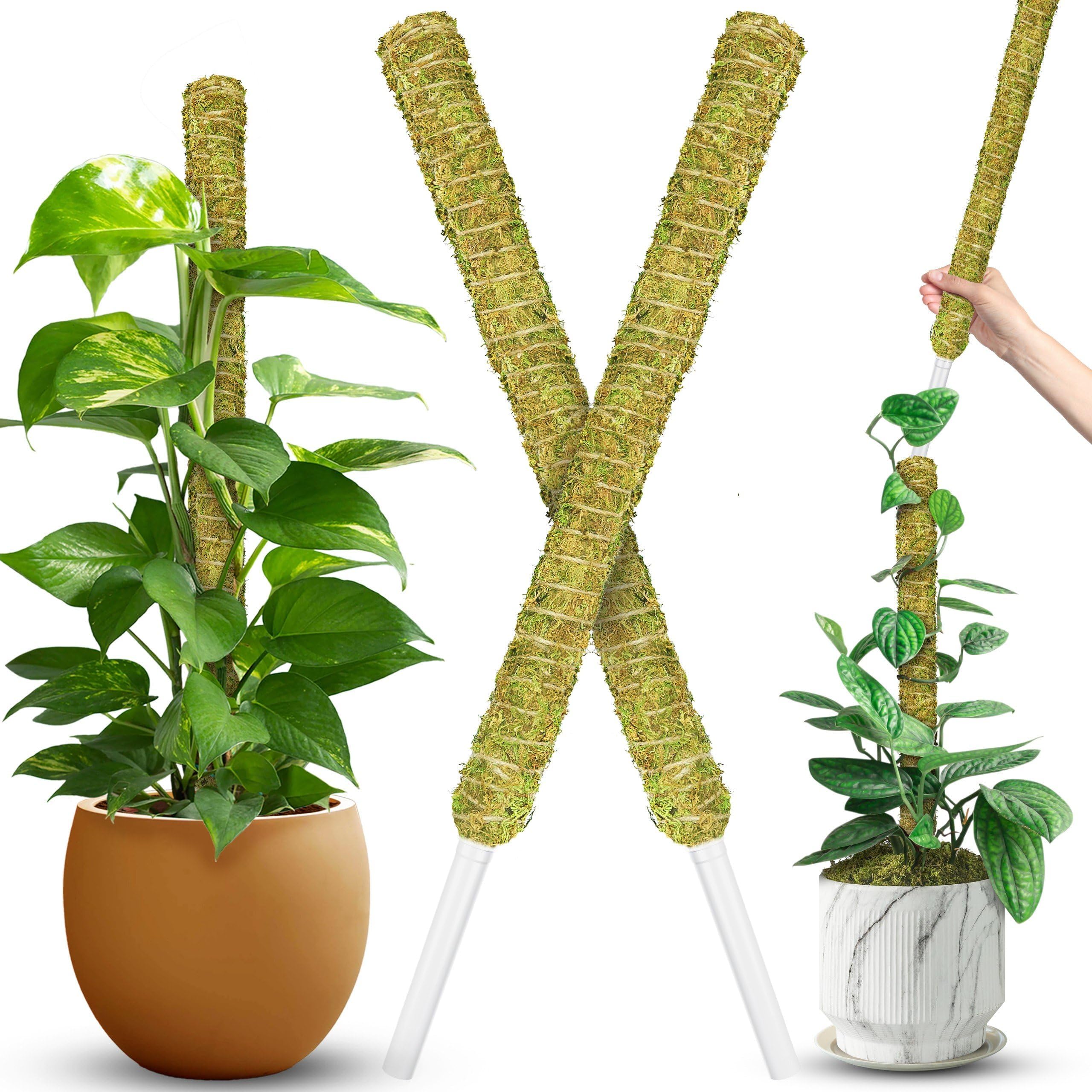 Natural Stackable Moss Pole for Plants Monstera, Forest Moss Sticks, Monstera Plant Support, Handmade Plant Stakes for Indoor Plants for Potted Plant to Grow Upward 02 pcs 22''