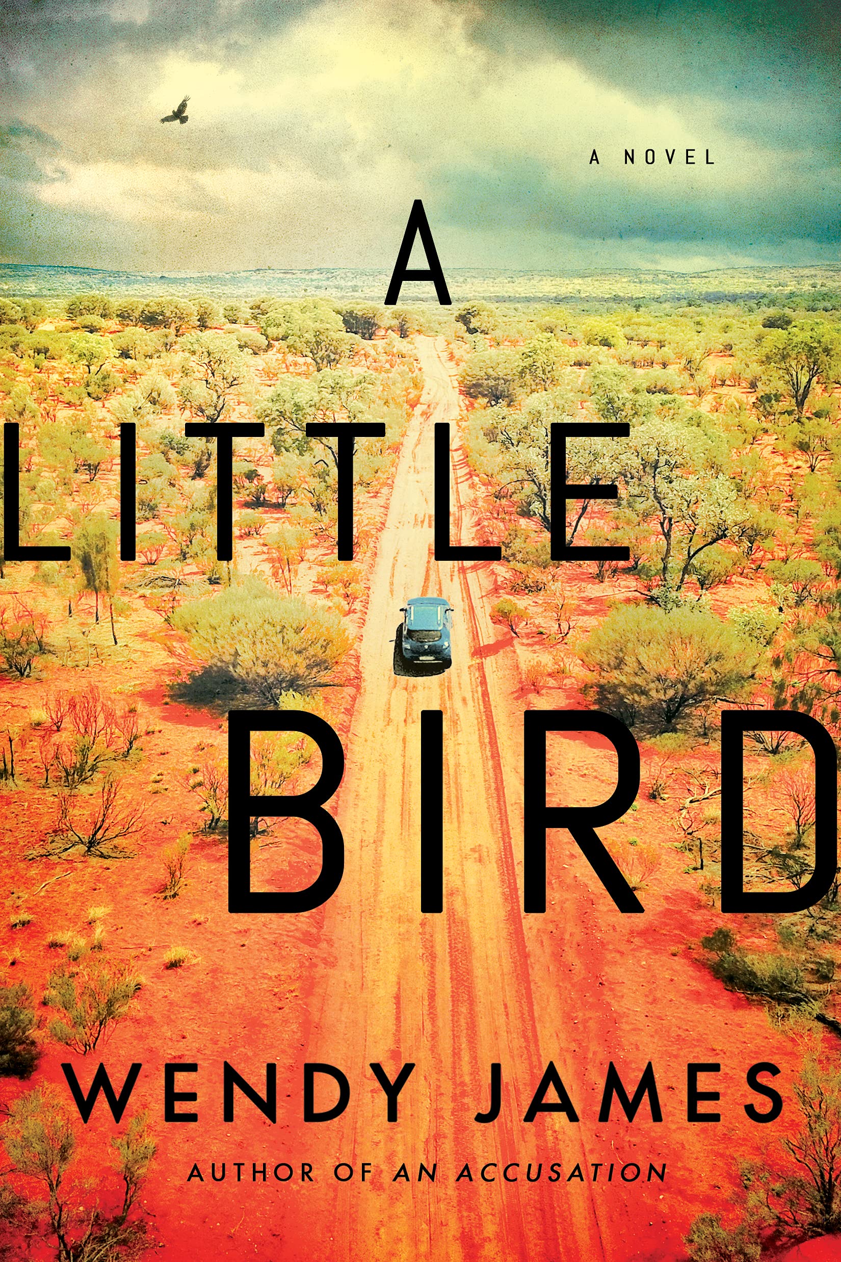 A Little Bird: A Novel