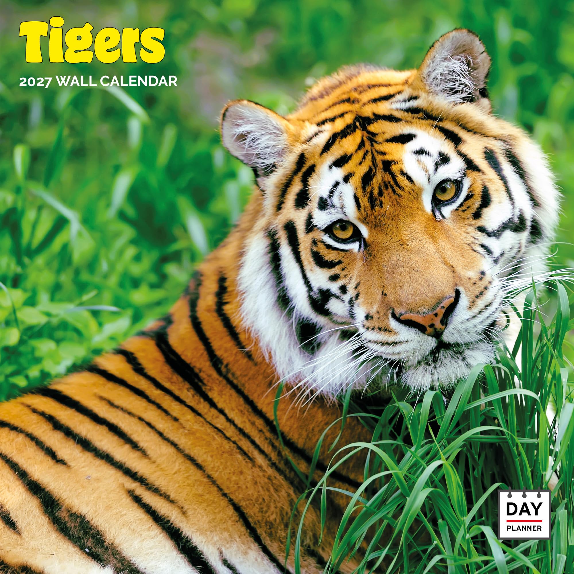 Dayplanner Publishing Tigers Calendar 2027, Large