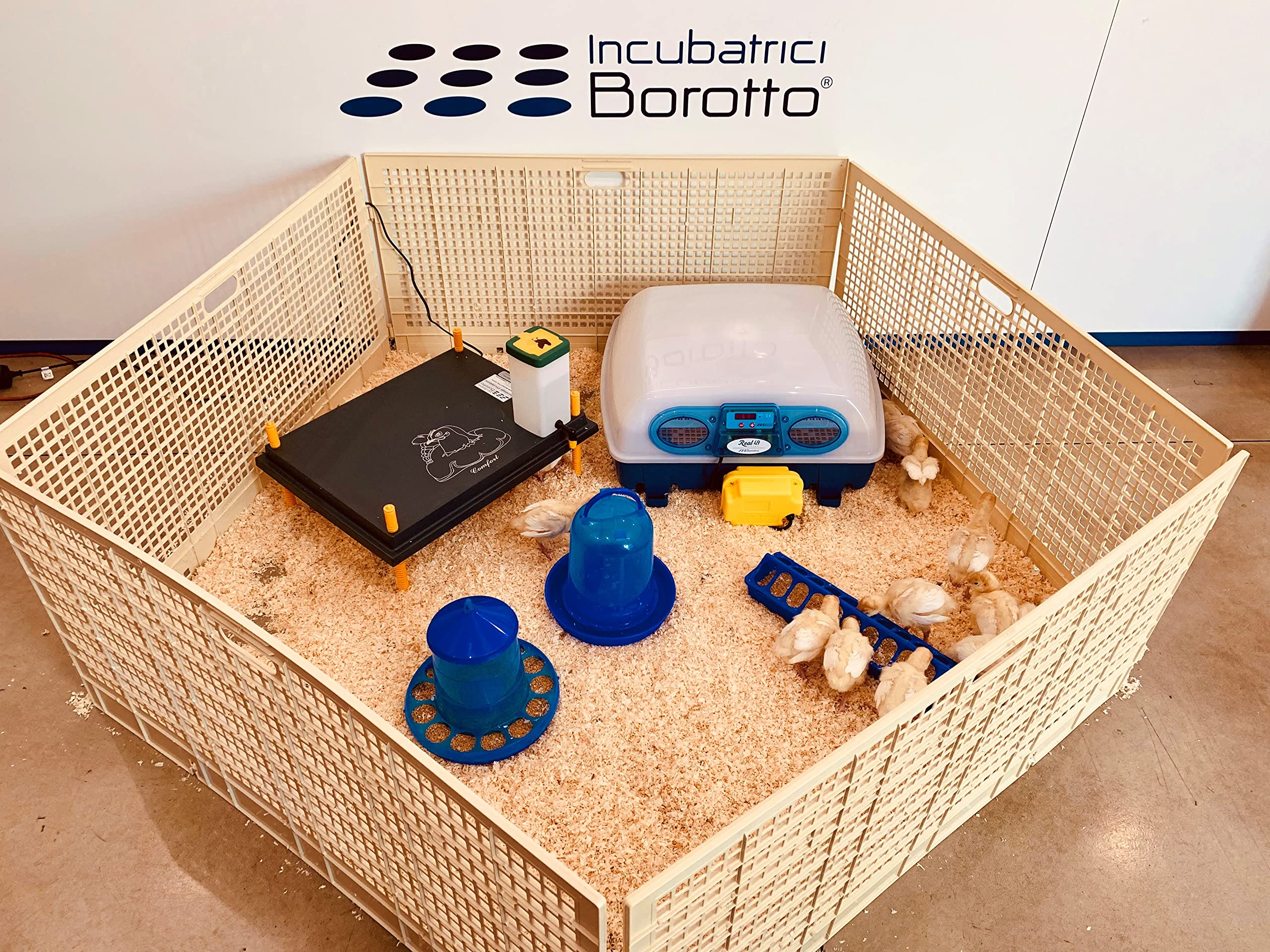 Incubatrice Real 49 Automatica Borotto + Kit Svezzamento | Made in Italy