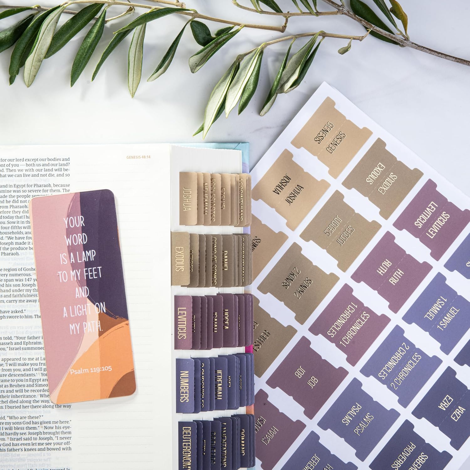 DiverseBee Laminated Bible Tabs (Gold Embossed Lettering), Bible Study Journaling Supplies, Bible Book Tabs, 73 Bible Tabs for Women and Men, Includes 4 Blank Tabs (Olive) image 2