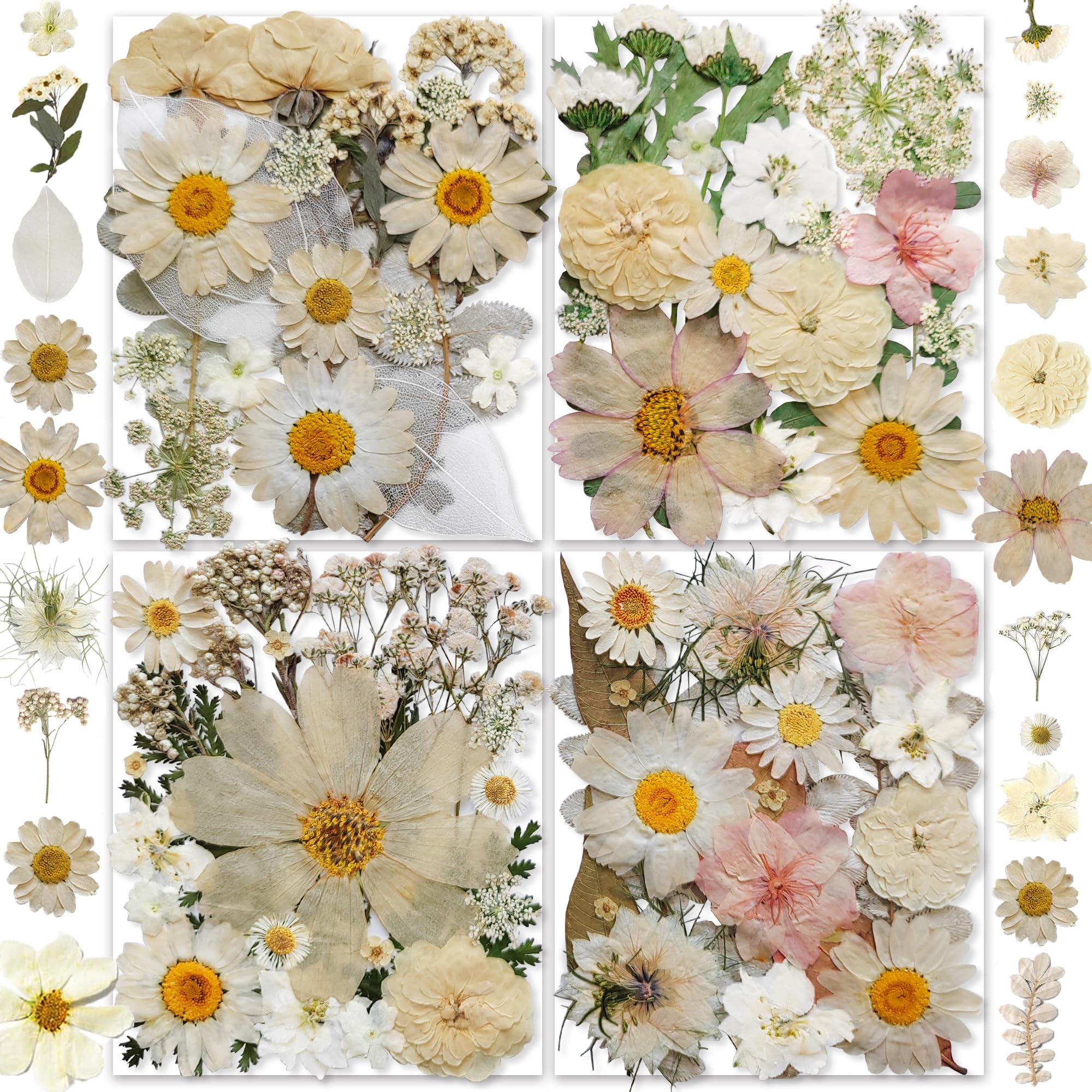 – 135PCS White Dried Pressed Flowers with Butterfly Stickers Real Nature Flowers Herb Set for Resin DIY Jewelry Candle Soap Vase Making Nail Card Scrapbook Art Craft Floral Decors