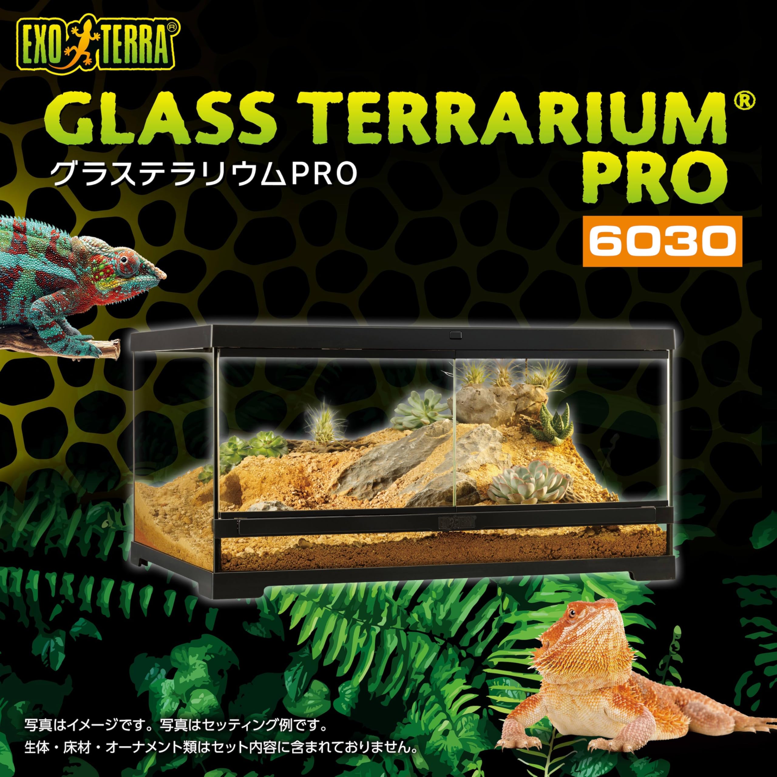 エキゾテラ6030 グラステラリウム6030 エキゾテラ GEX ガラス飼育ケージ 販売 通販