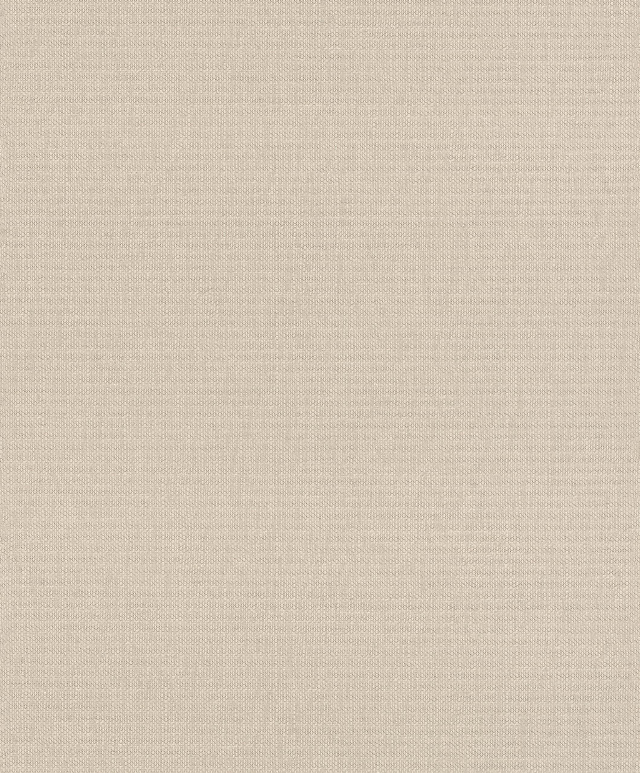 Papier peint intissé pour cacher les imperfections murales beige Rasch 312355