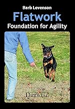 Flatwork: Foundation for Agility By Barb Levenson