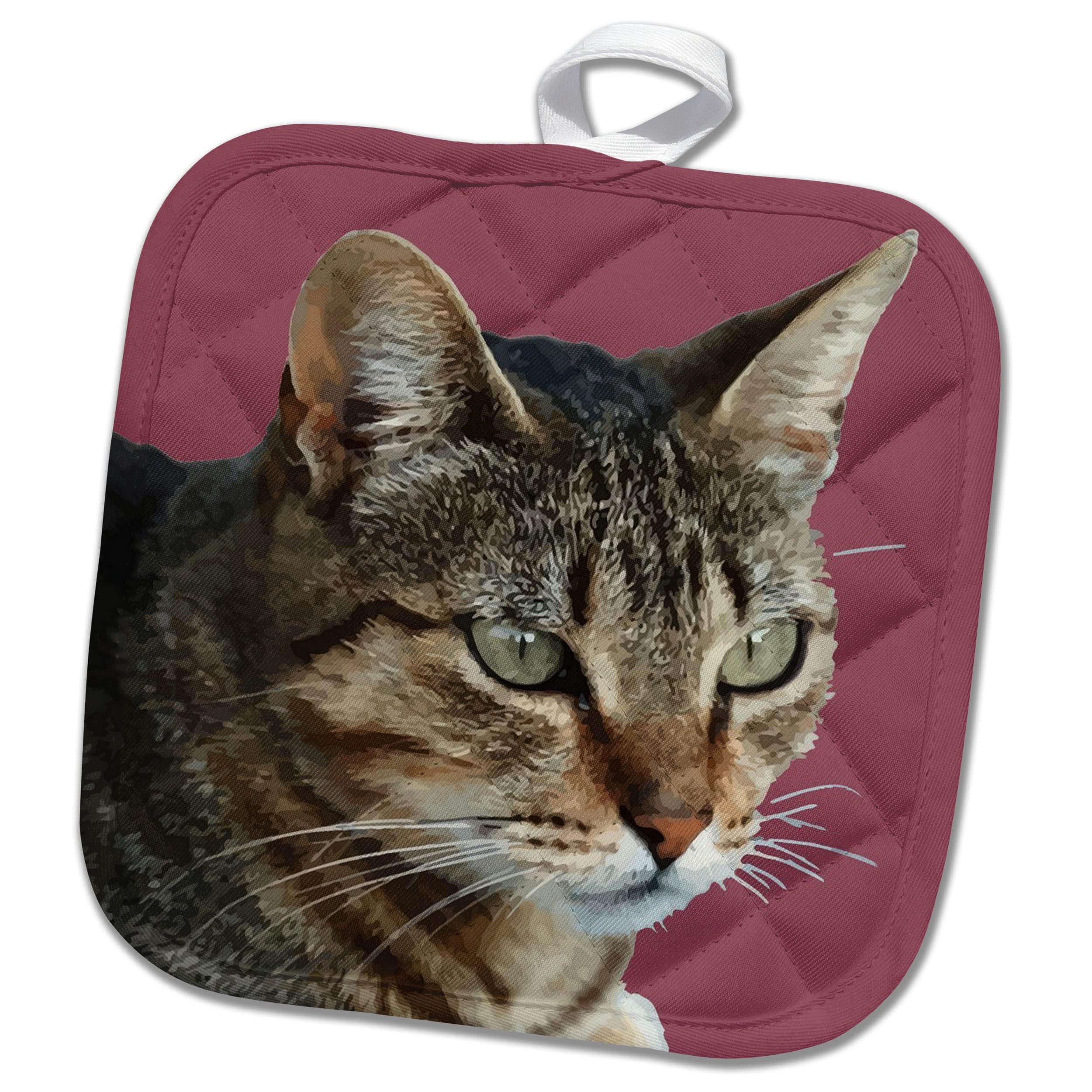 3dRose - Stunning Tabby Cat Acrylic Pet Portrait - Potholder - (phl-361195-1)