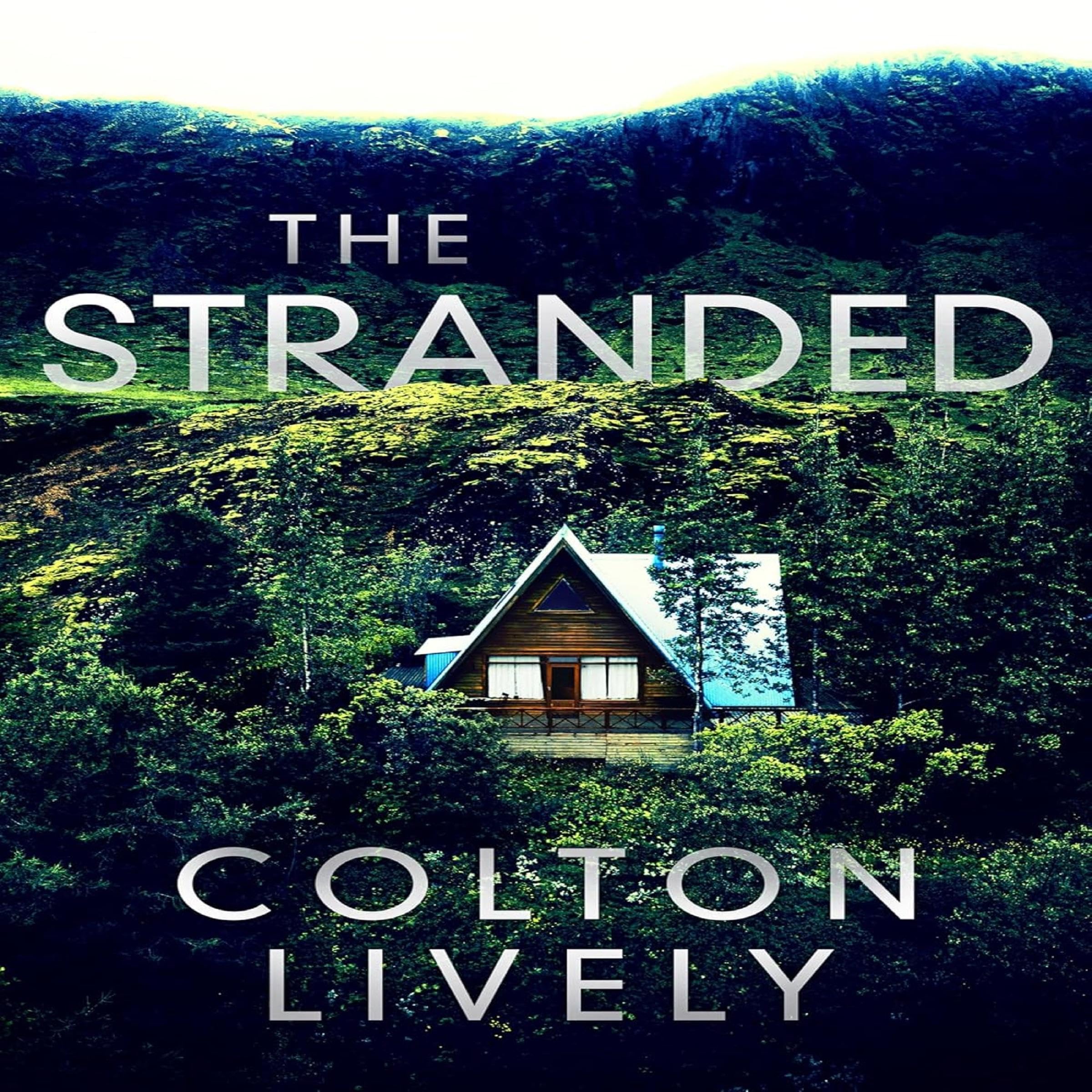 Cover art for The Stranded