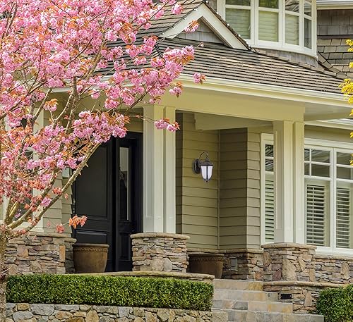 Miniatura 2 de Craftmade Z6020-OBO Frances - Lámpara de pared para exteriores, 3 luces, 180 vatios, bronce aceitado (12 pulgadas de ancho x 29 pulgadas de alto)