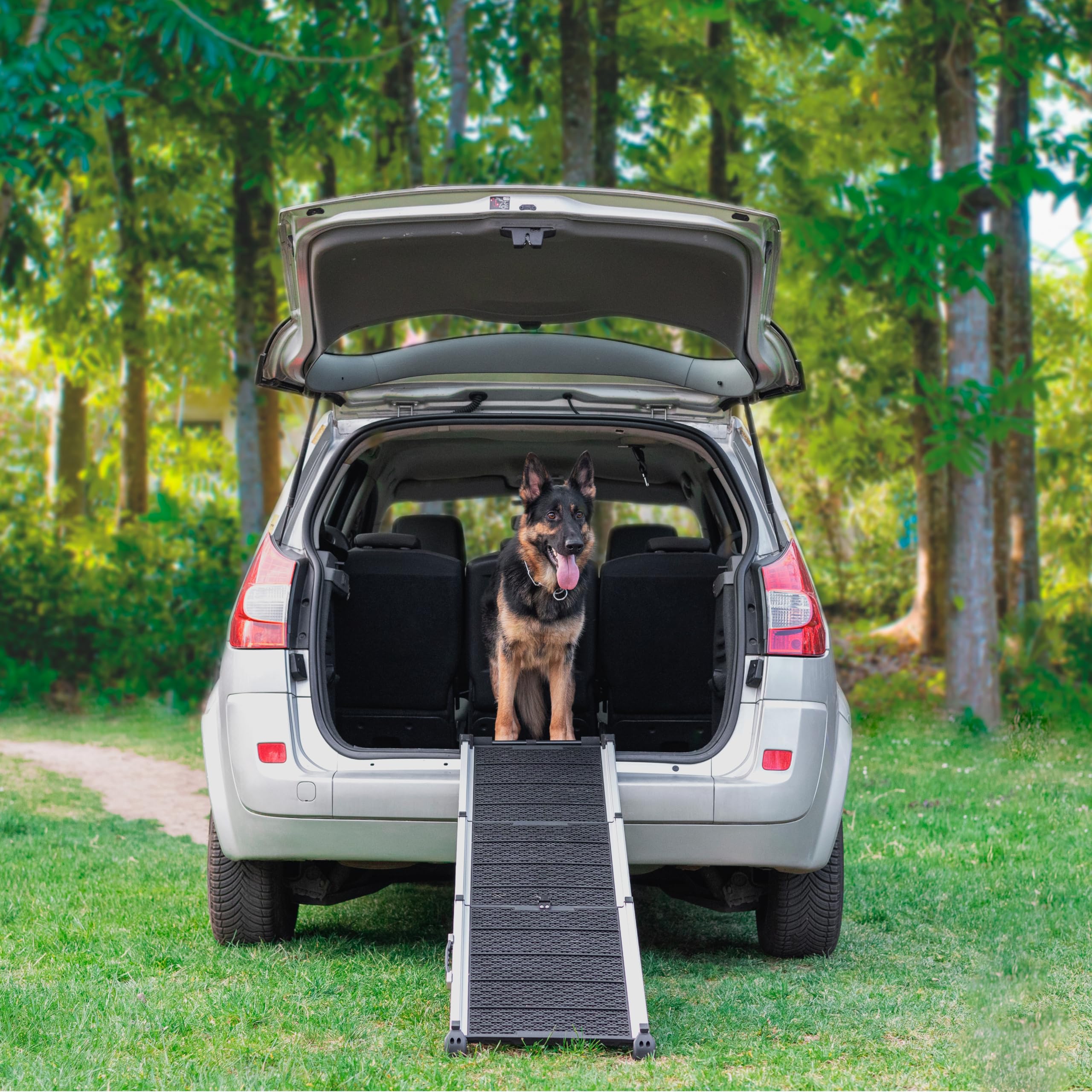 Rampa per Cani per Auto, SUV – Rampe Telescopiche Estensibili per Cani di Grossa Taglia – STABILI – ANTISCIVOLO – Sicurezza Notturna Lati Riflettenti – Capacità 90 kg – Clip di Bloccaggio – Nero