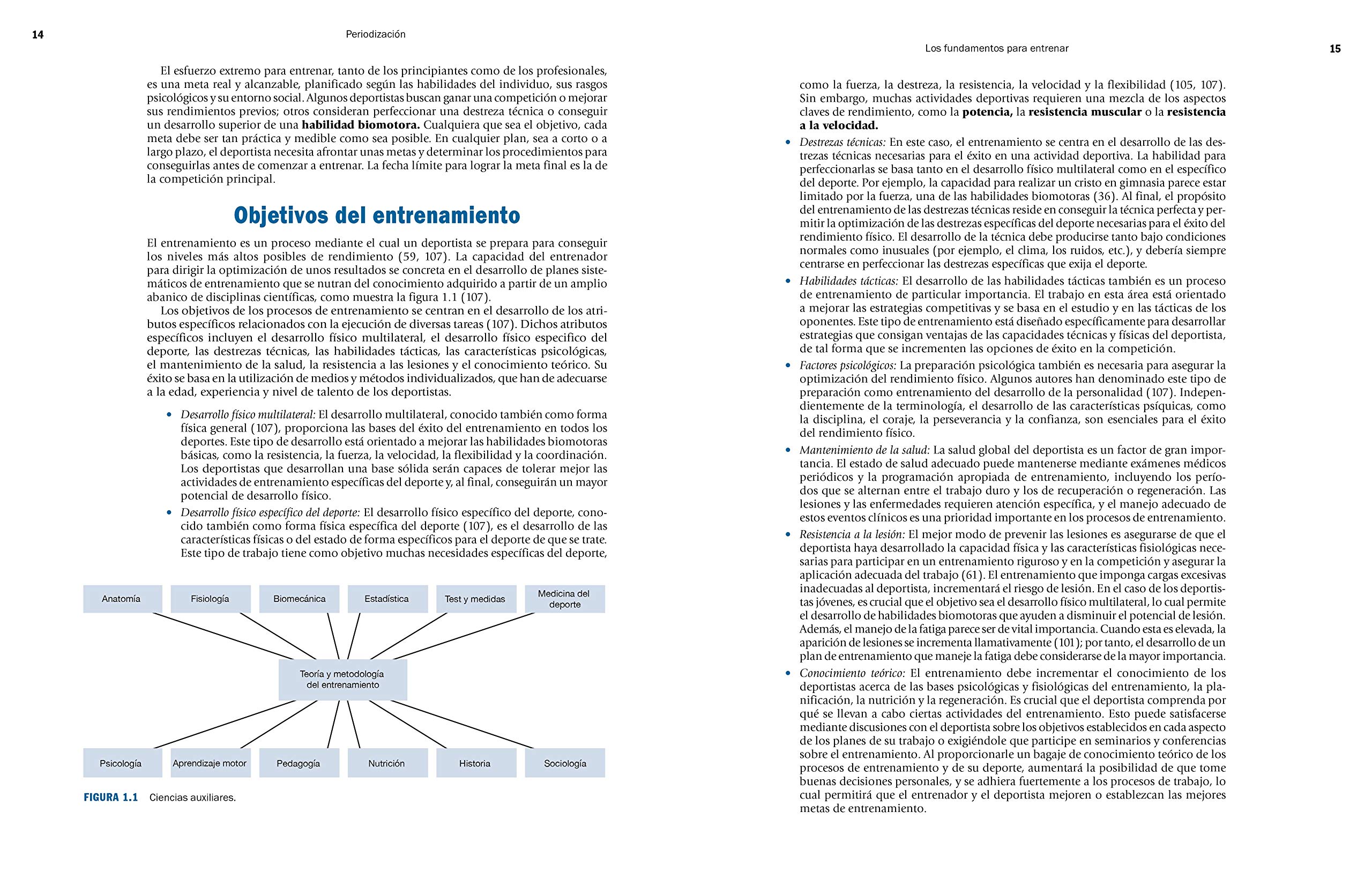 PERIODIZACIÓN (EN FORMA)