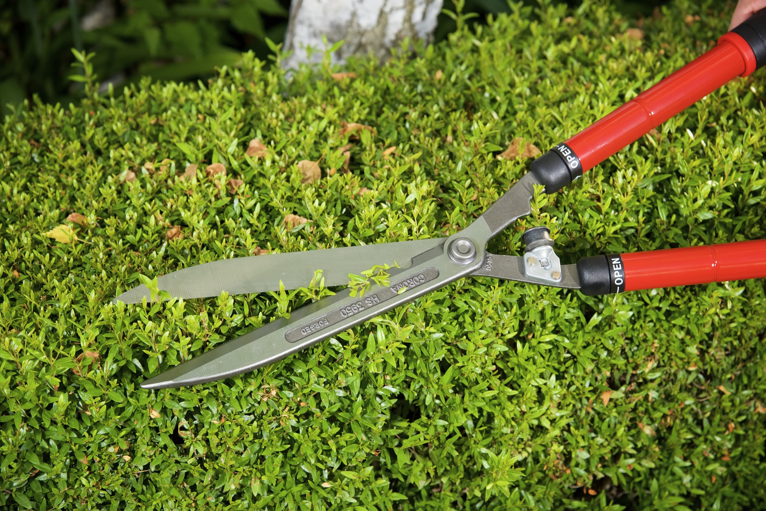 Amazon.com : Corona HS 3950 Extendable Hedge Shear, 10-Inch Blade