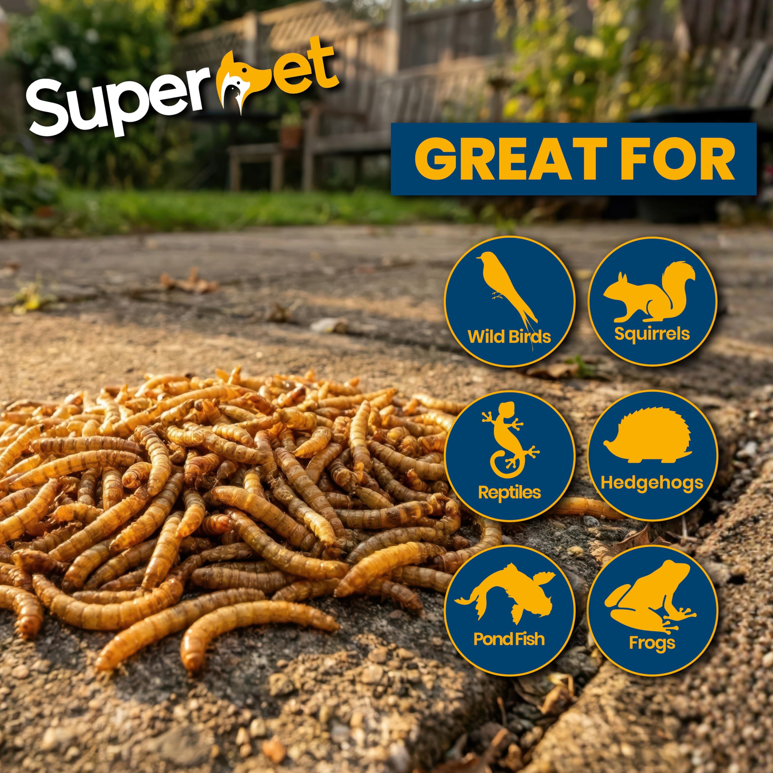 Mealworms 5 kg de gusanos de la harina secos para aves silvestres