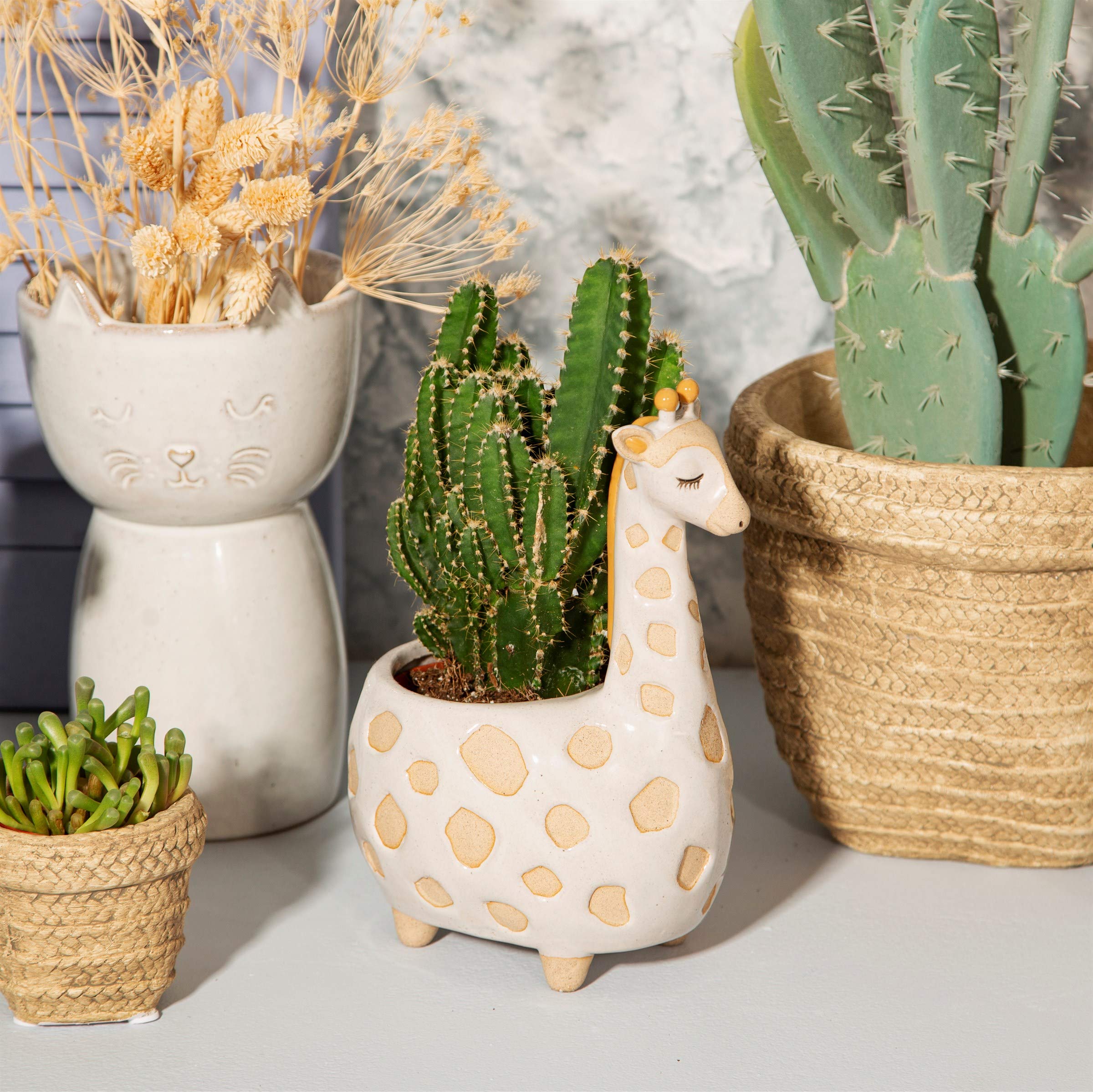 Sass & Belle Gina Giraffe Planter
