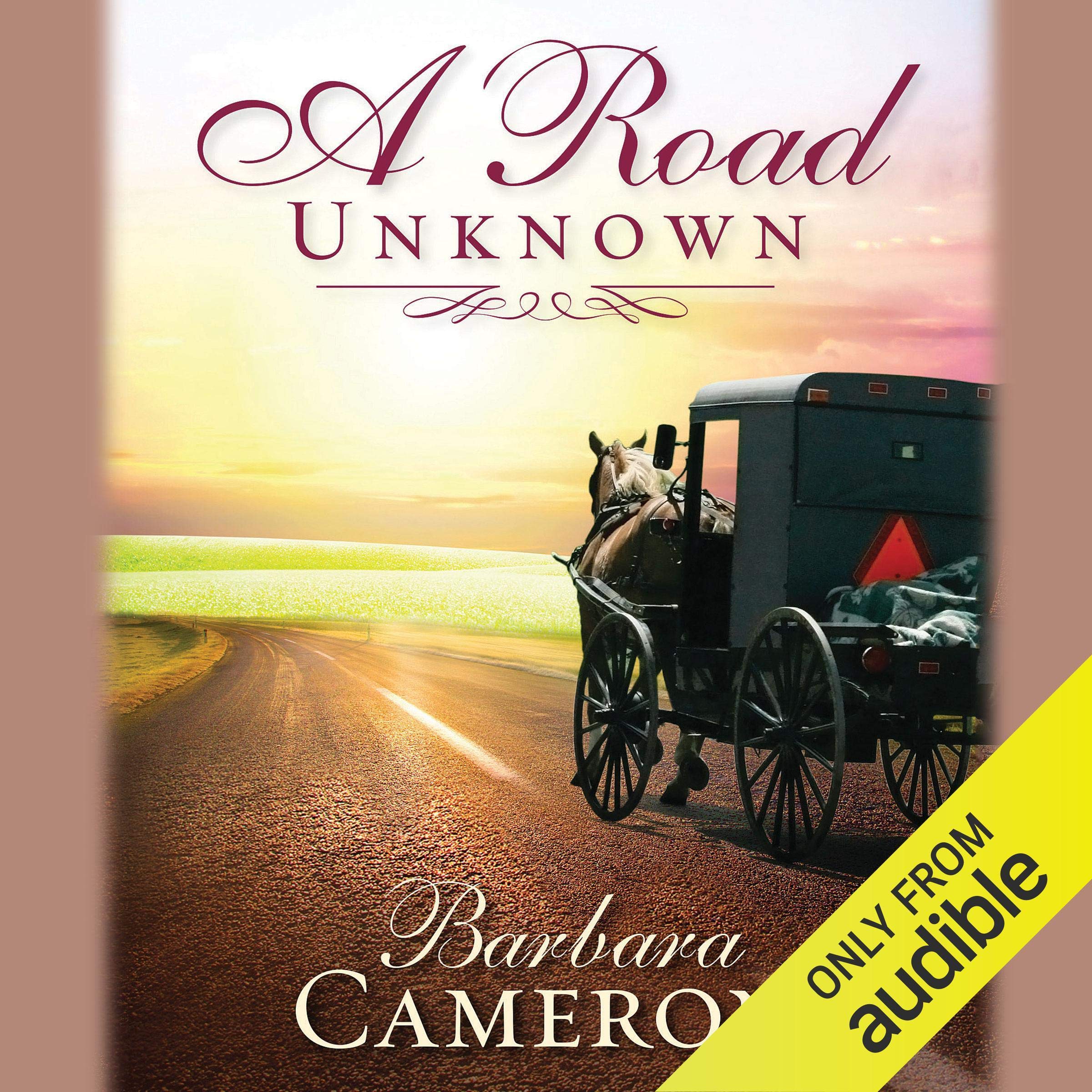 Cover art for A Road Unknown