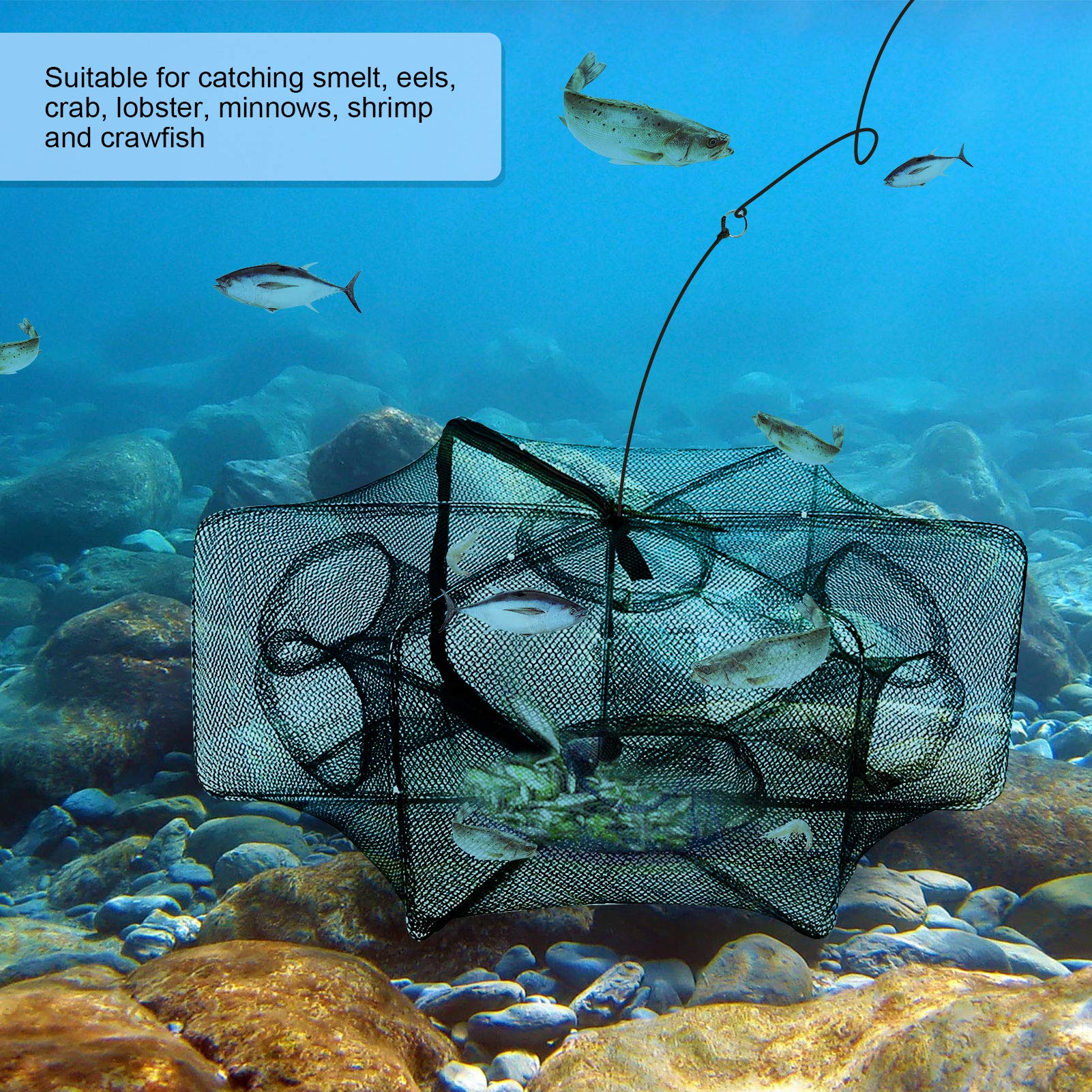 Rete Da Pesca, Trappola Pesci Portatile, Trappole Per Esche Da Pesca Piegate Con Design a Cerniera, Rete Pesca Da Lancio Pesci Gamberi Pesciolini Gamberi Granchi Esche Tarp Rete, 6 Holes