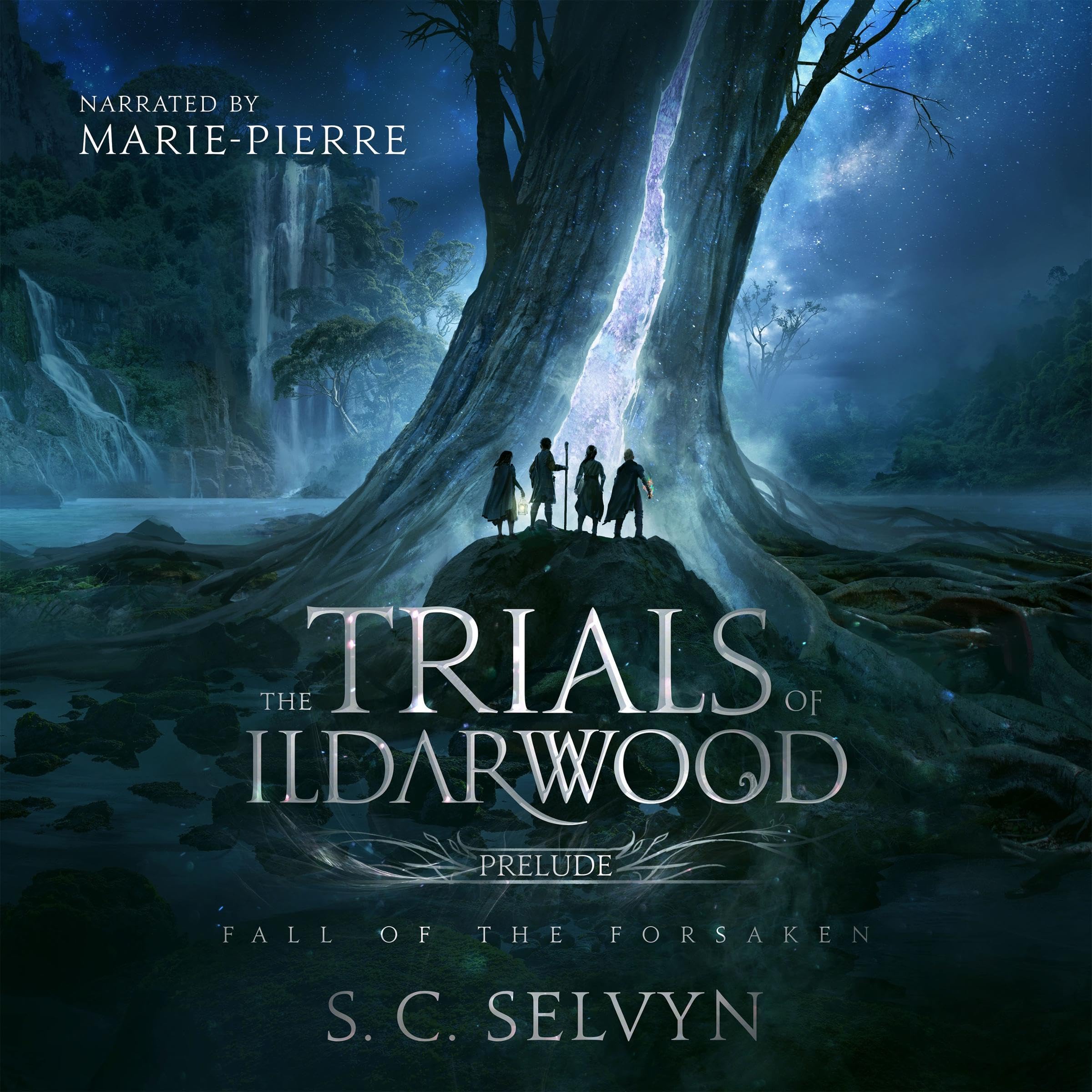 Cover art for The Trials of Ildarwood: Fall of the Forsaken