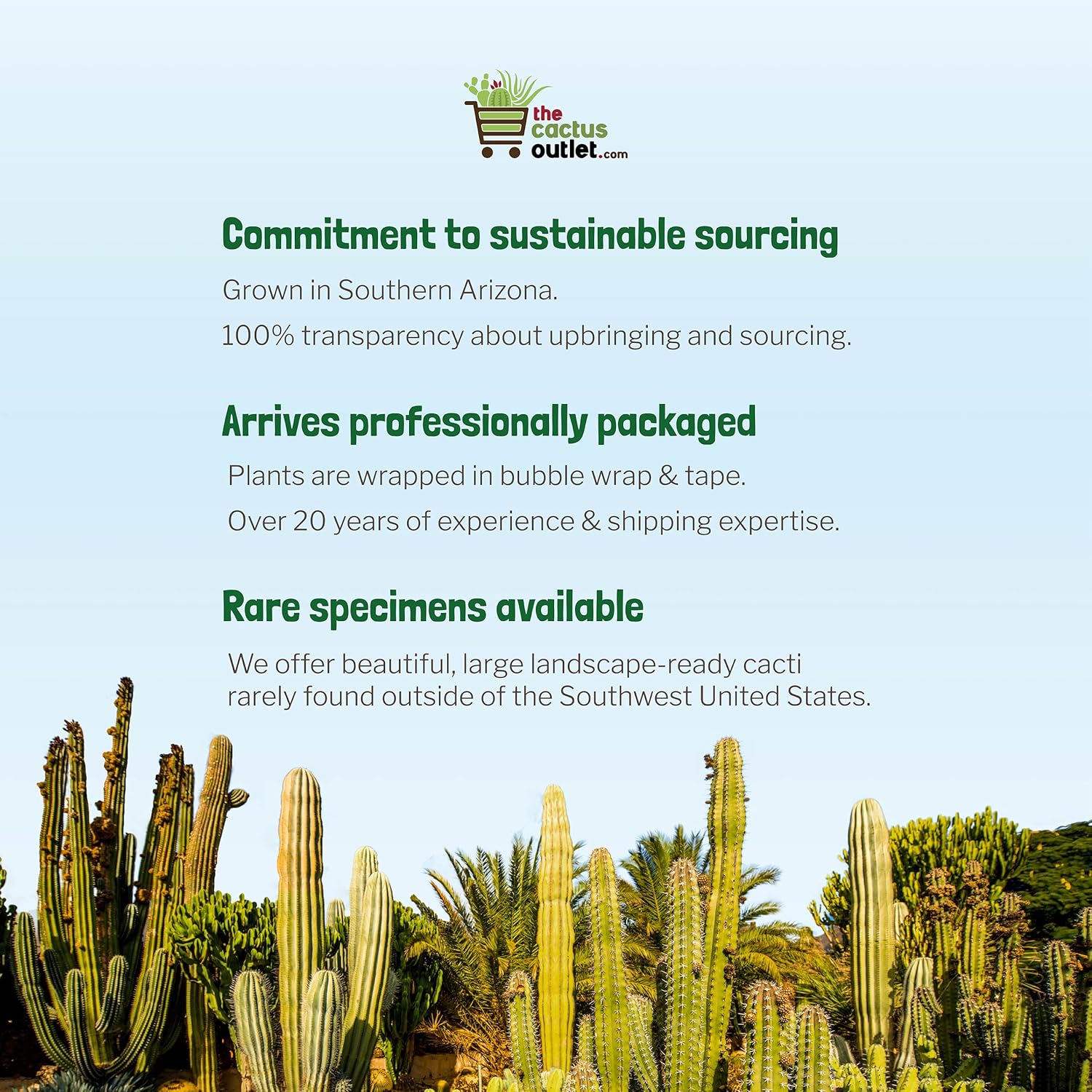 Cactus Outlet- Golden Barrel Cactus Plant - Live Cactus Plants - Barrel Cactus Plants Live - 1 Gal - Landscape Ready Barrel Cactus Plants Live Delivered Right to Your Door - Live Plants Outdoor