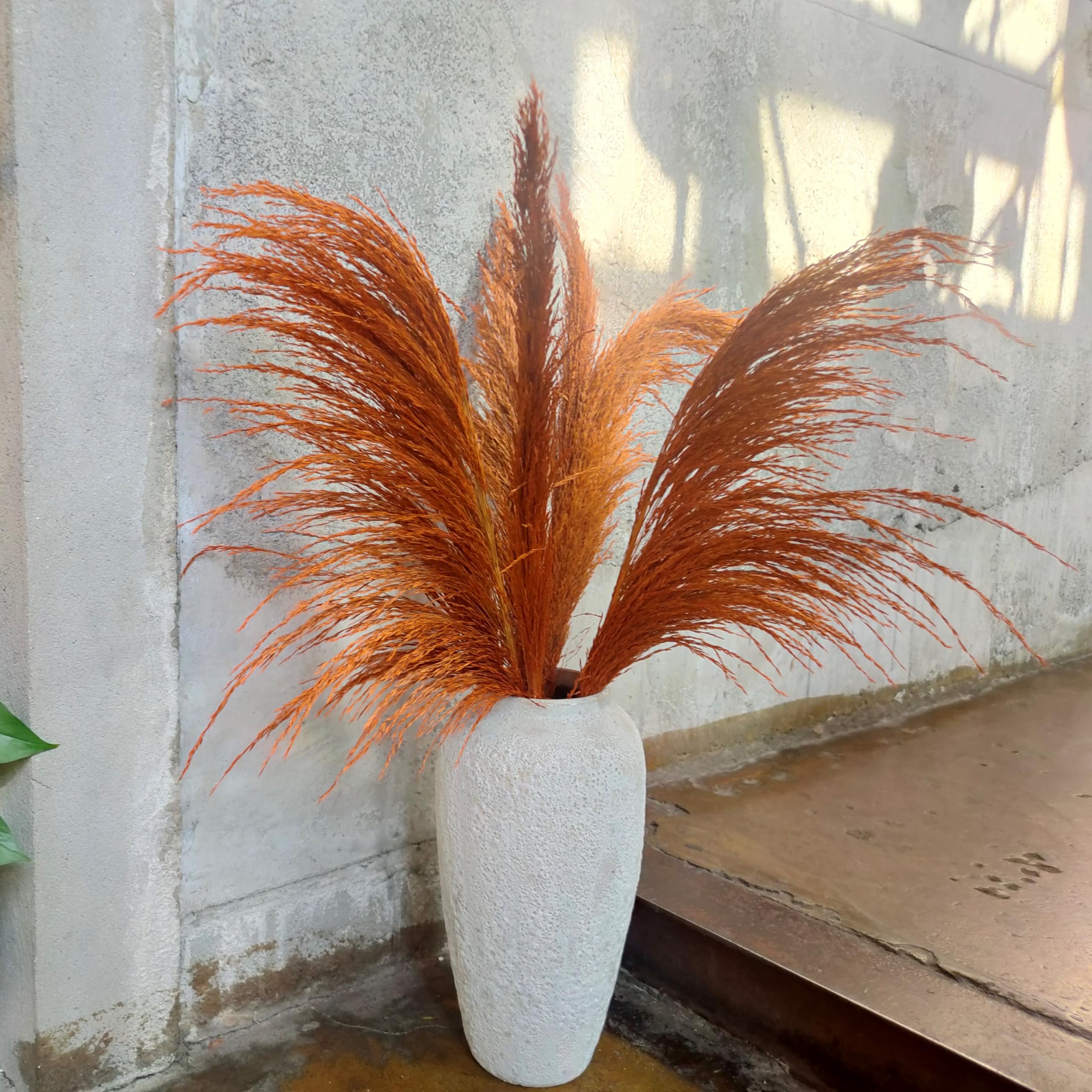 Grande Erba di Pampa Arancione bruciata, 4 pezzi da 110 cm, grande erba di Pampa colorata secca naturale, floreale di Pampa marrone con aroma di fiori secchi, pianta secca lunga per il soggiorno
