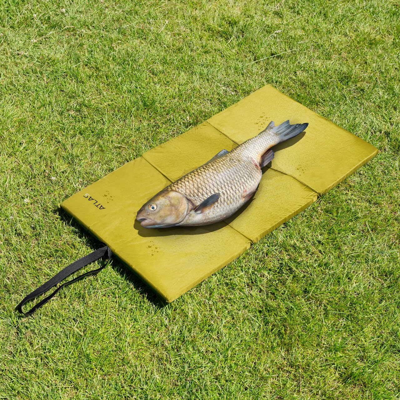 Tapis De Réception De Pêche à La Carpe Fockety - Pliable Portable 3 Plis Avec Cage à Appâts