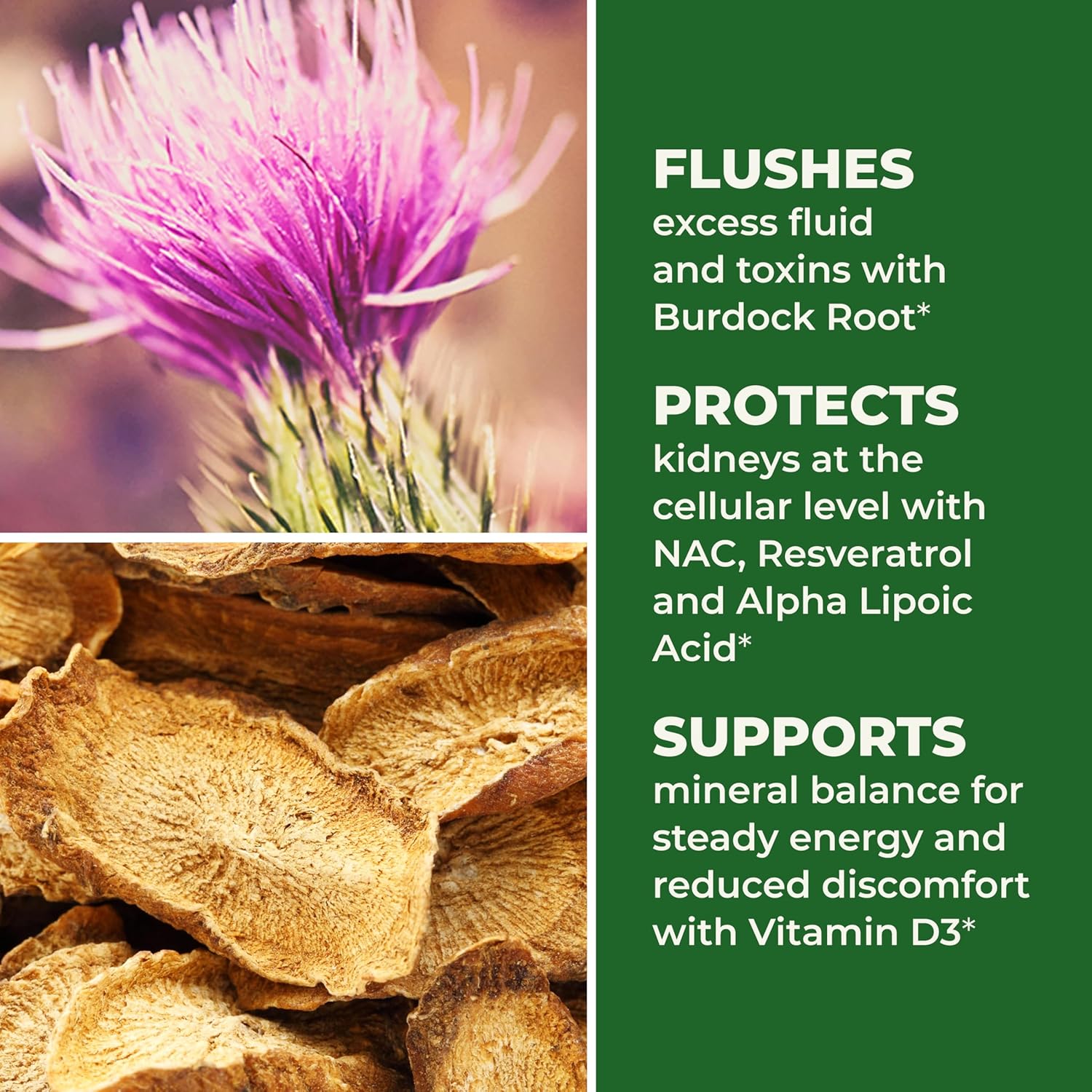 LifeSeasons Kidney Support Supplement – Cellular Protection with NAC, Alpha Lipoic Acid, Resveratrol, Burdock Root & Vitamin D3 – Supports Detox, Oxidative Stress & Renal Function – 120 Capsules - Image 3