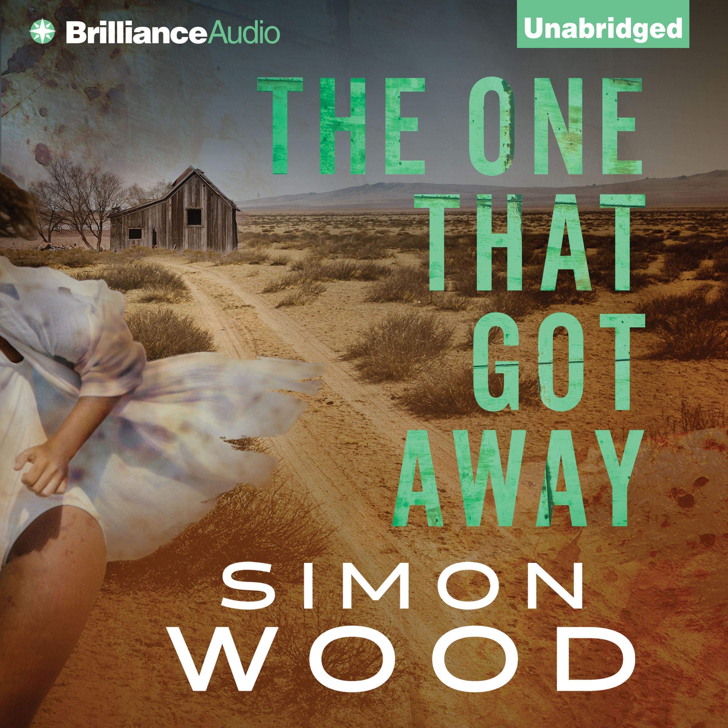 Cover art for The One That Got Away