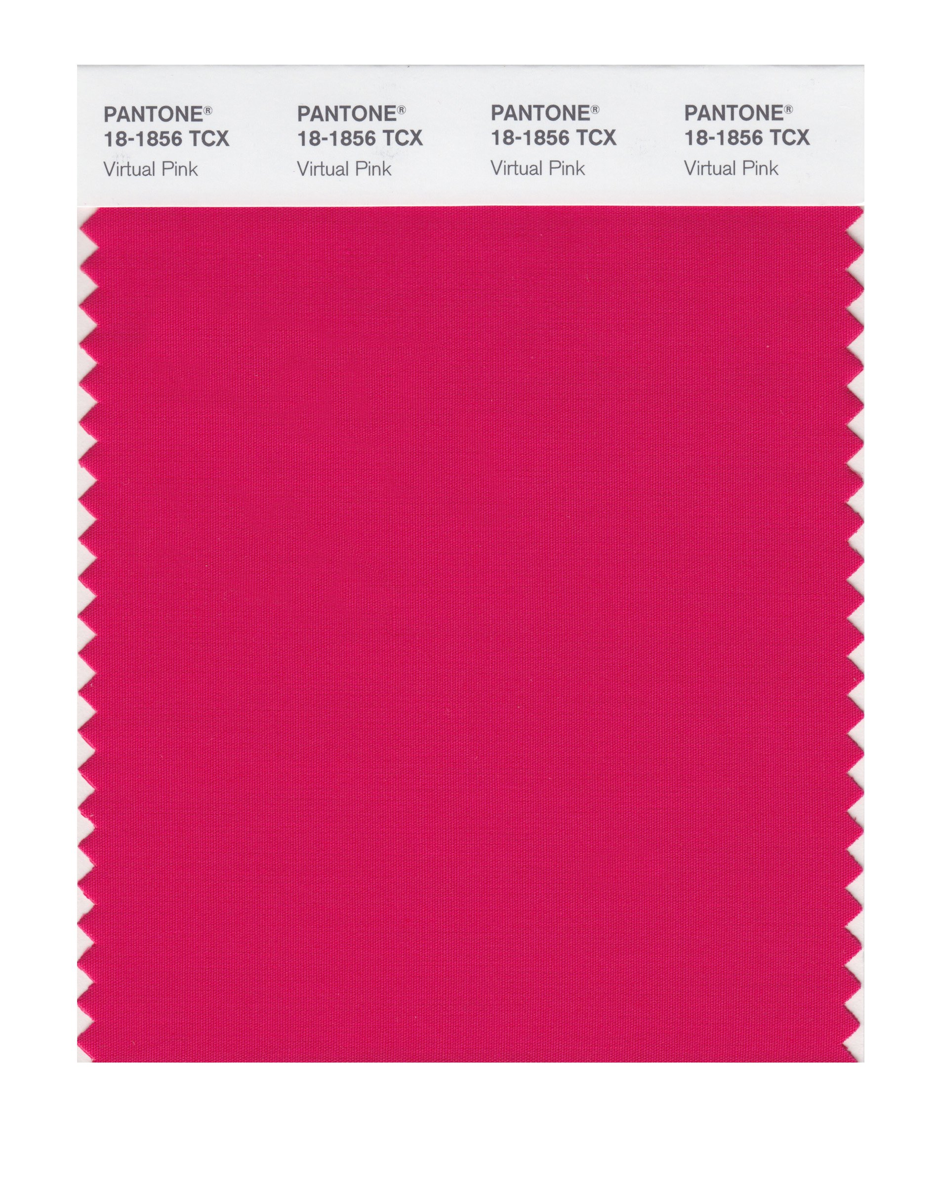 その他 PANTONE for fashion and  COLOR CARD Amazon.com: Pantone Cotton Swatch Card Color Standard, Color