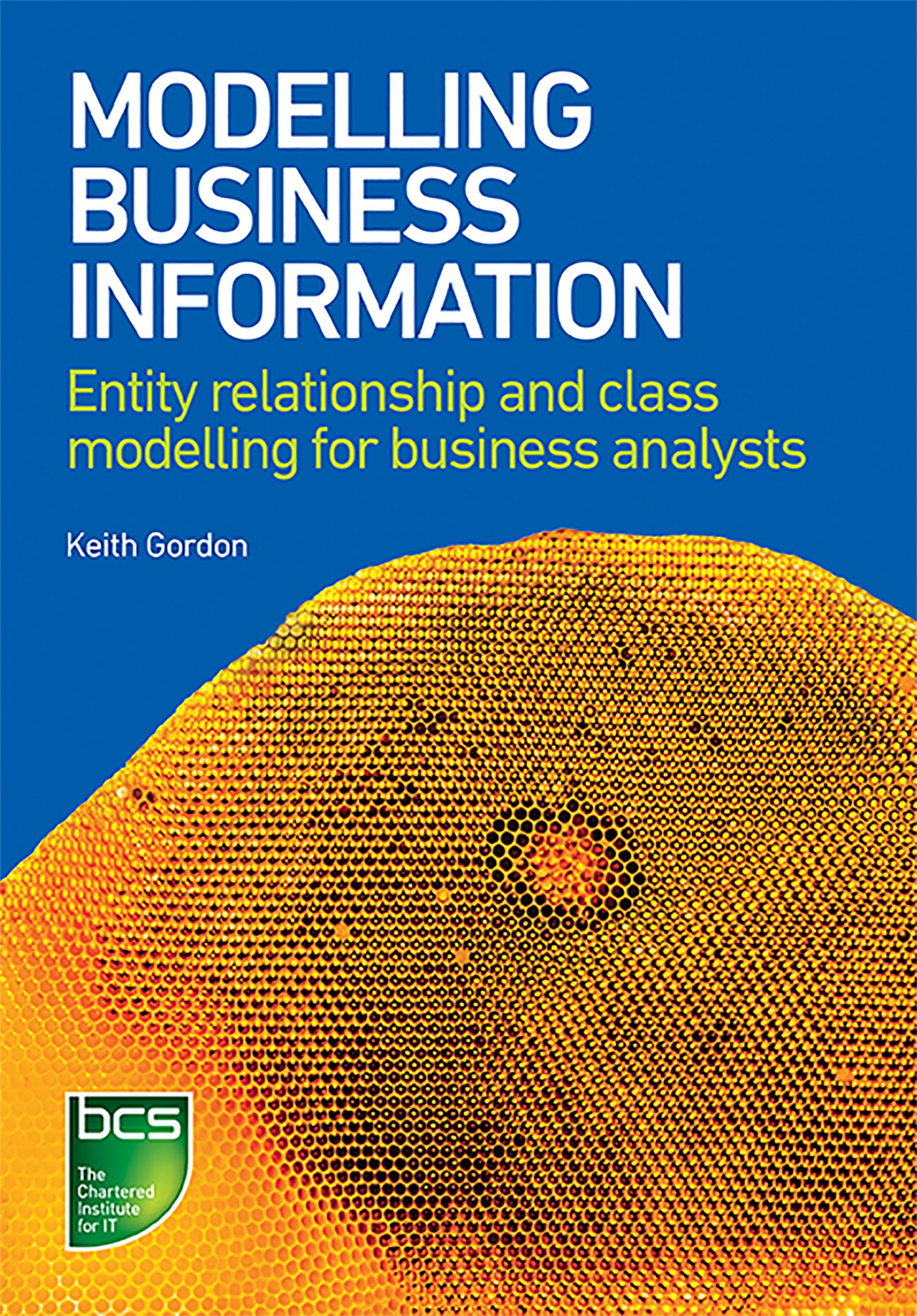 Modelling Business Information: Entity relationship and class modelling for Business Analysts (English Edition)