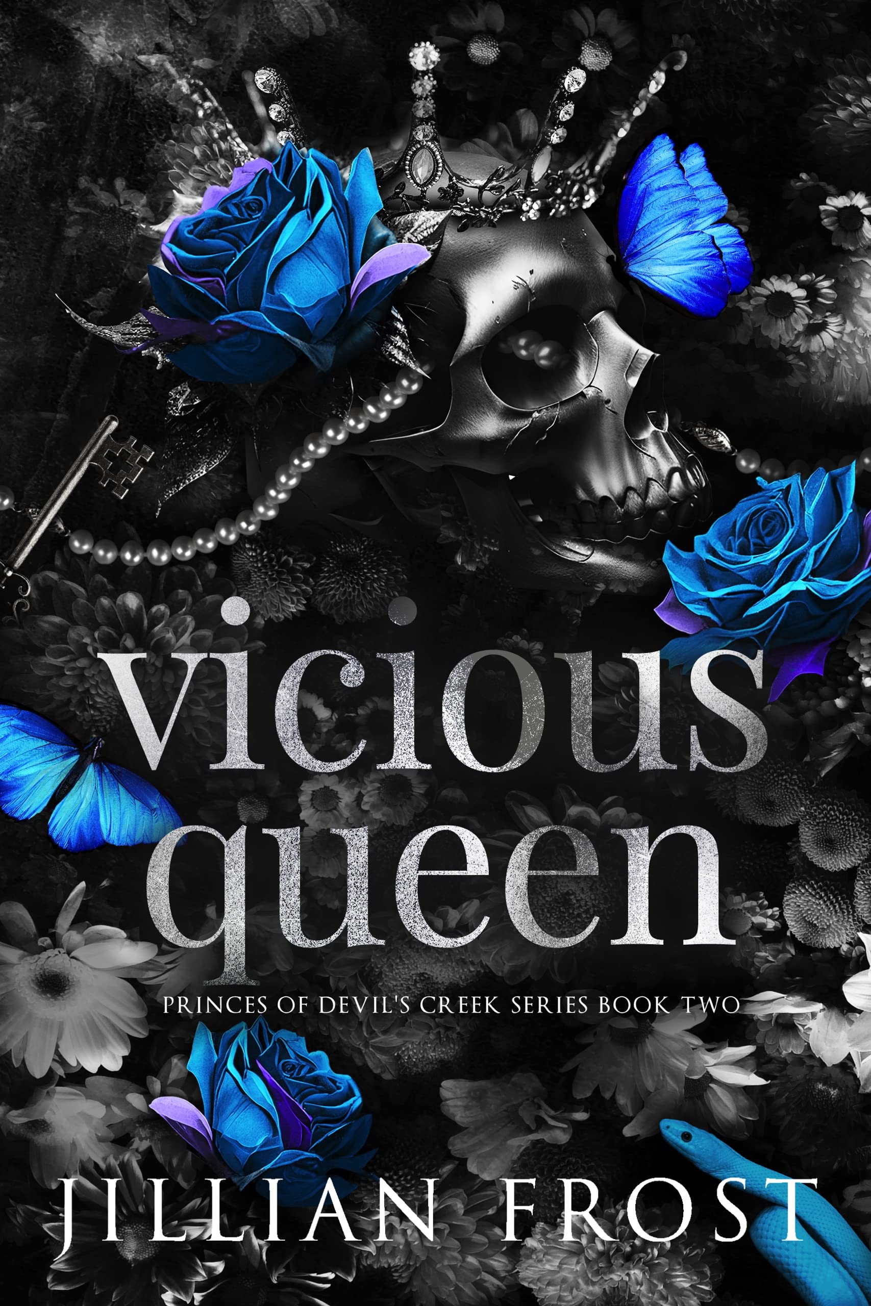 Vicious Queen (Princes of Devil's Creek Book 2)