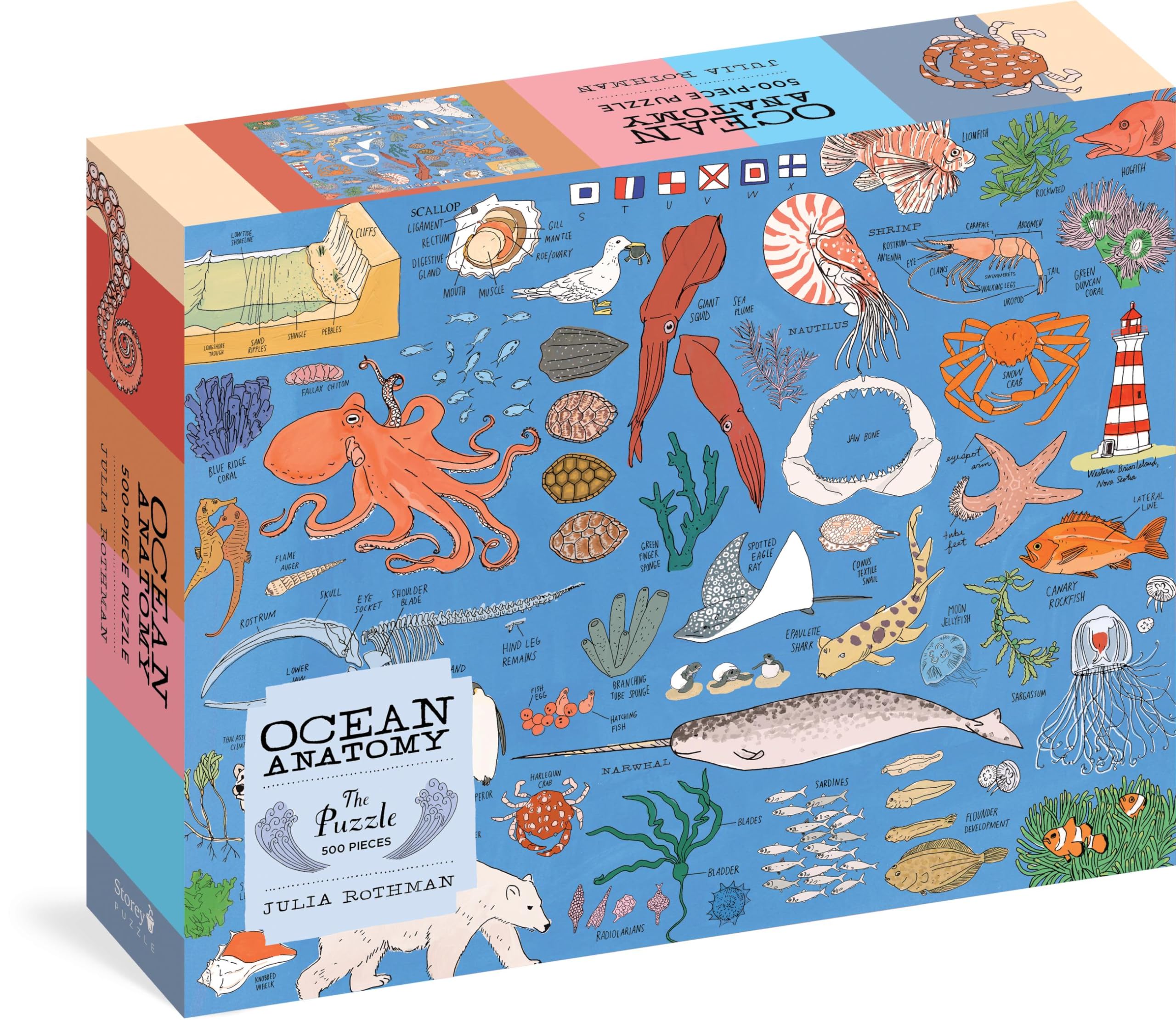 Ocean Anatomy: The Puzzle (500 pieces) by Julia Rothman, Juli... - 9781635864021