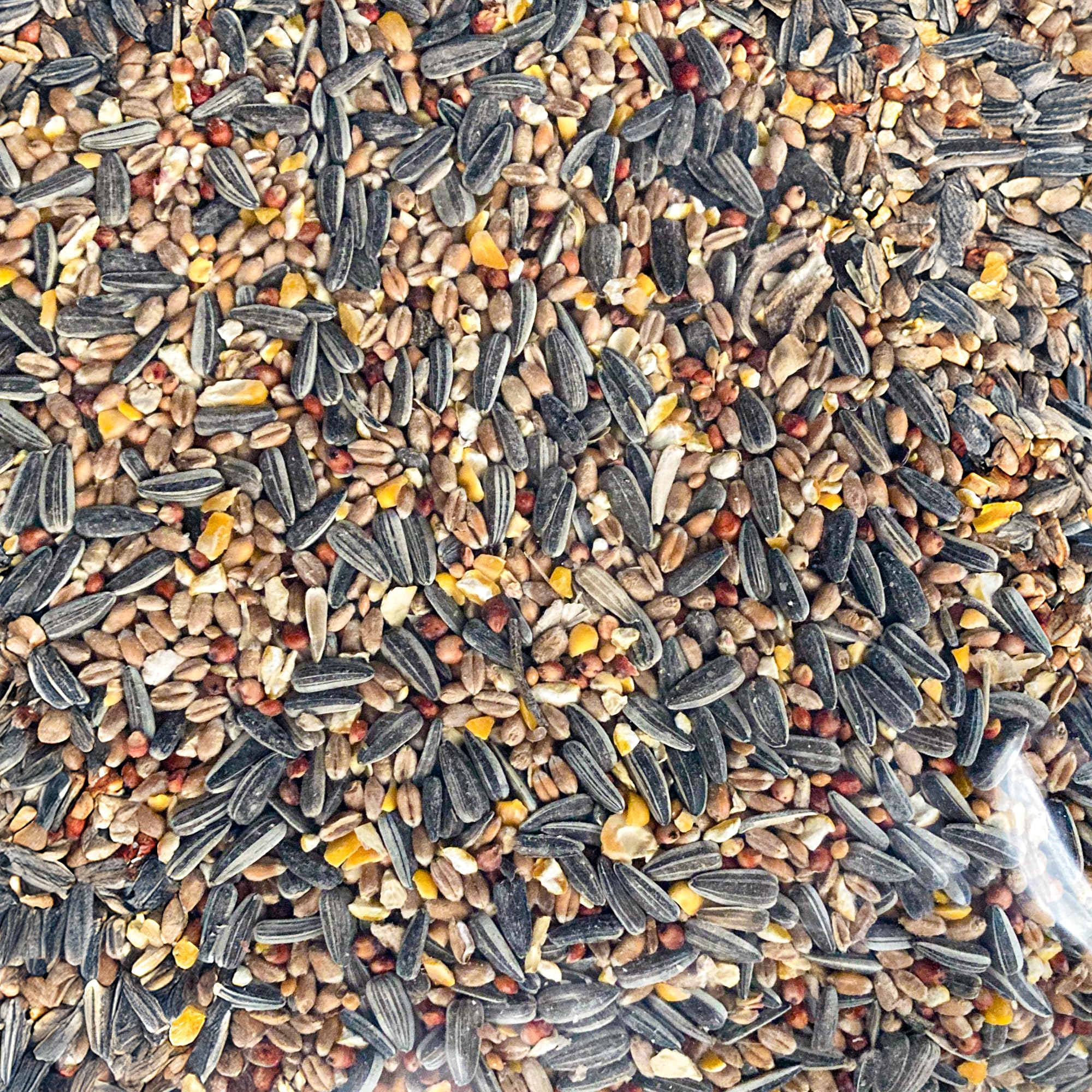 Mezcla de Semillas para Aves GardenersDream Deluxe - Mezcla Esencial de Trigo, maíz, Sorgo, Girasol y mijo - Nutrición óptima para Aves al Aire Libre.