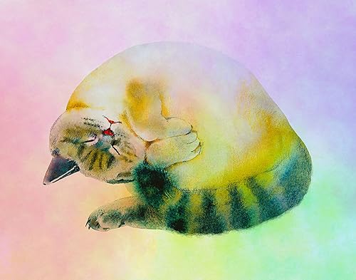 Cute Sleeping Cat - Rainbow Wall Art Poster for Home, Office, Bedroom, Dorm - 14x11 UNFRAMED Print - Gift for Women, Teens, Daughter