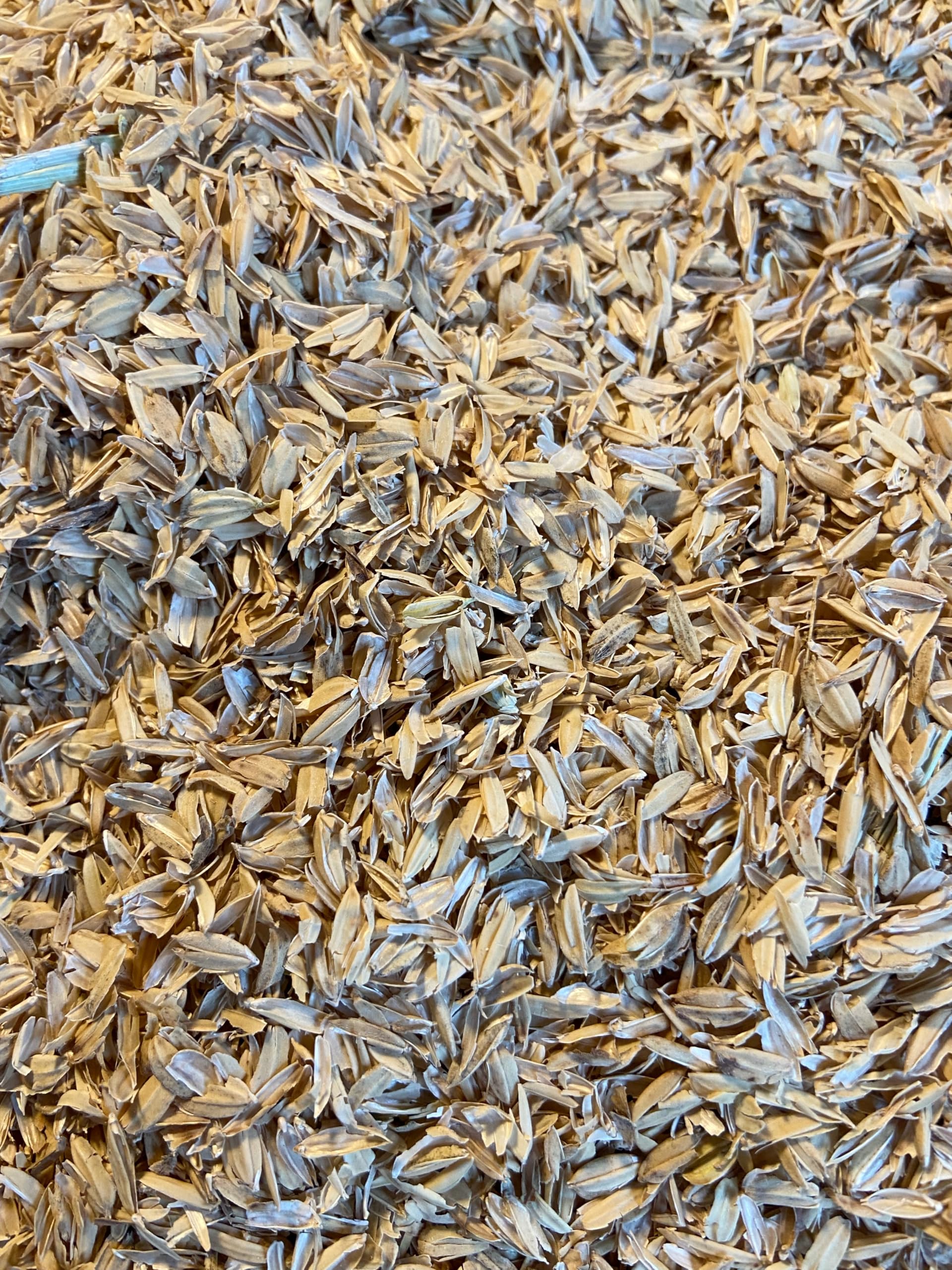 Bio Cascaras de Arroz 3L – Fuente natural de silicio – Mejora estructural del sustrato y enmienda para Living Soil