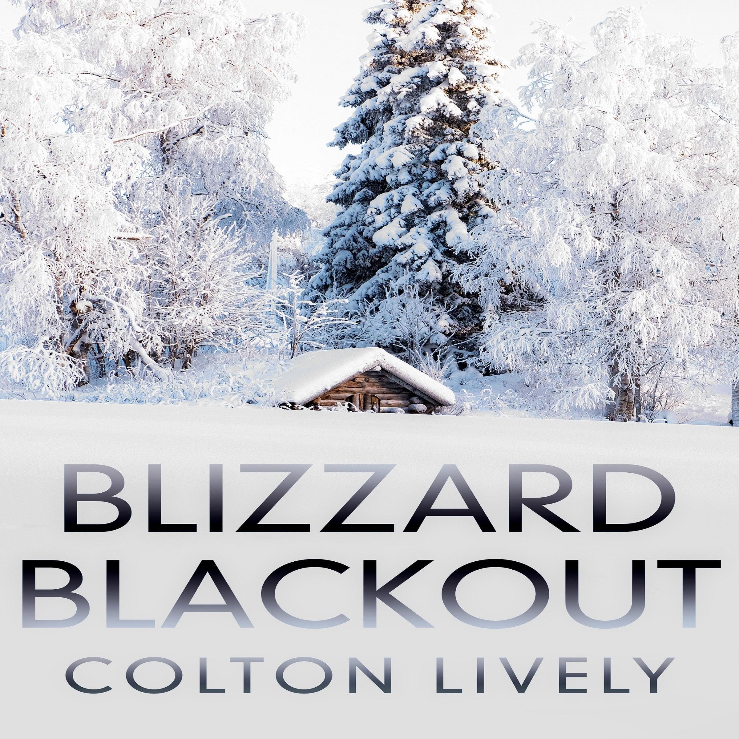 Cover art for Blizzard Blackout