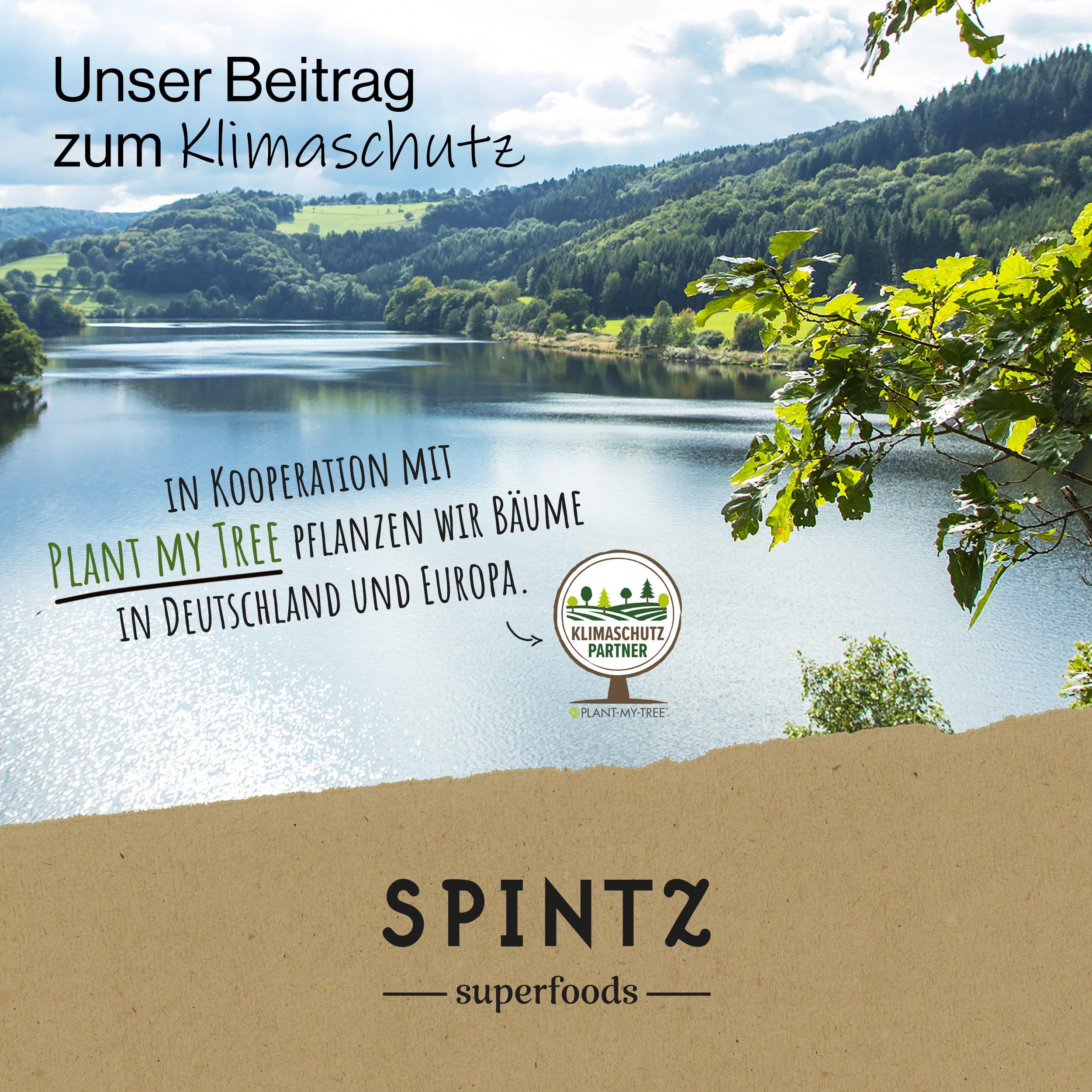 SPINTZ® 1000 Stk. Bio Chlorella Bio Presslinge 100% kontrolliert biologischer Anbau | Vegane Chlorella Tabletten 500mg/Tab | Plastikfrei und nachhaltig verpackte Chlorella Tabletten